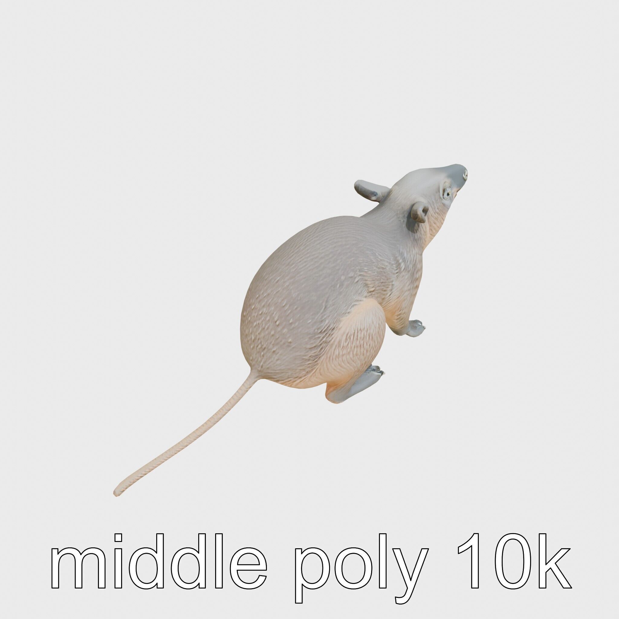 Serene Aardvark Model Evoking Tranquility Low-poly 3D model_12