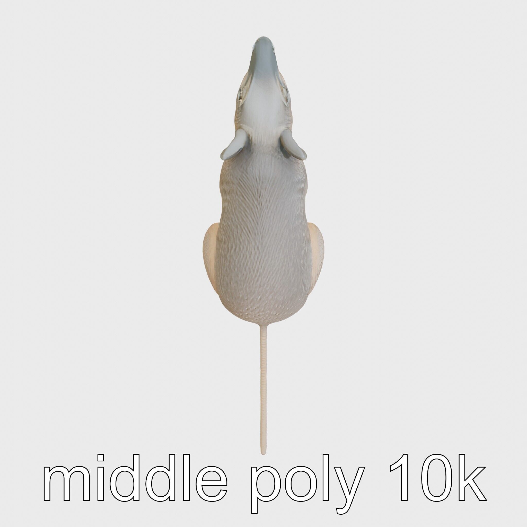 Serene Aardvark Model Evoking Tranquility Low-poly 3D model_28