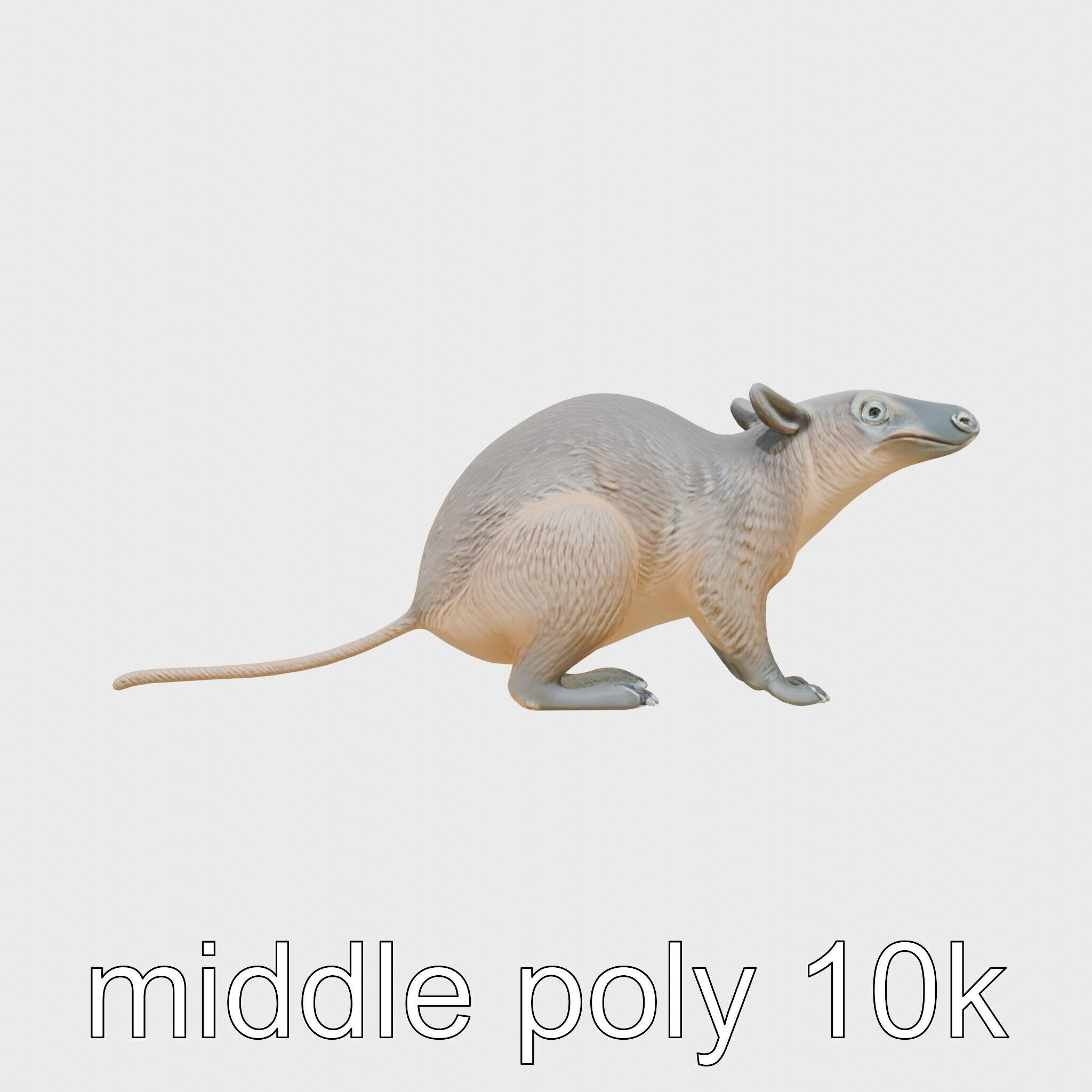 Serene Aardvark Model Evoking Tranquility Low-poly 3D model_27
