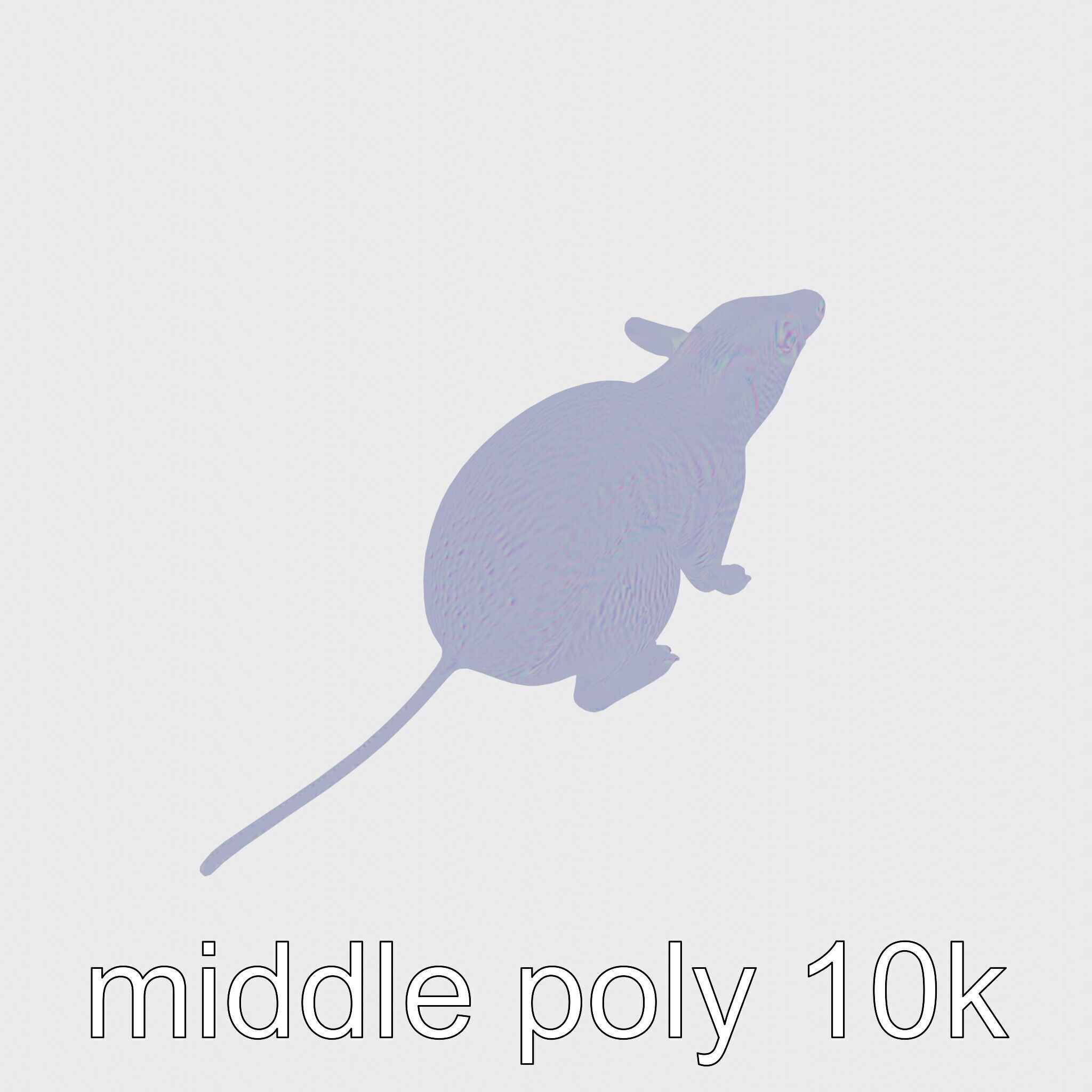 Serene Aardvark Model Evoking Tranquility Low-poly 3D model_17