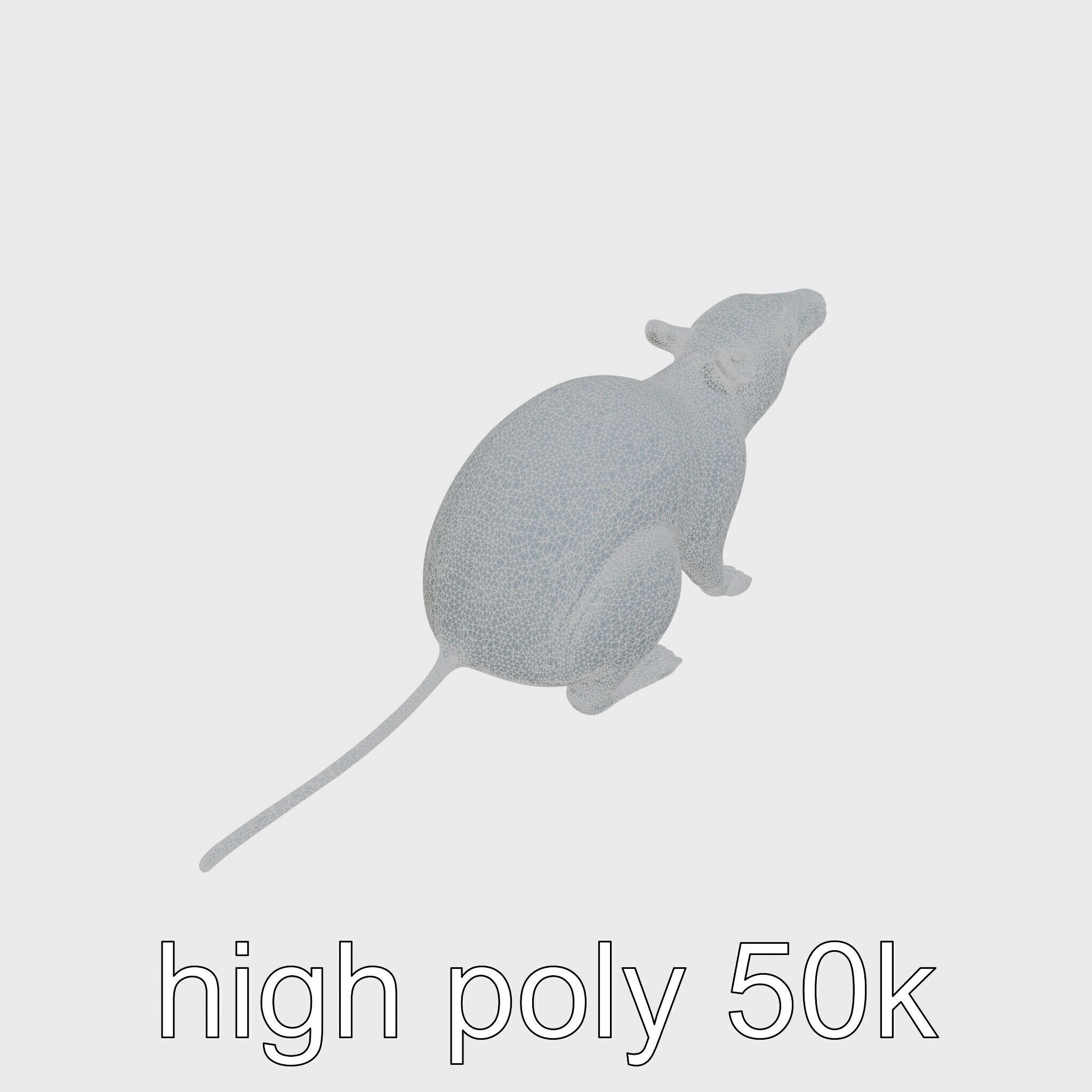 Serene Aardvark Model Evoking Tranquility Low-poly 3D model_16