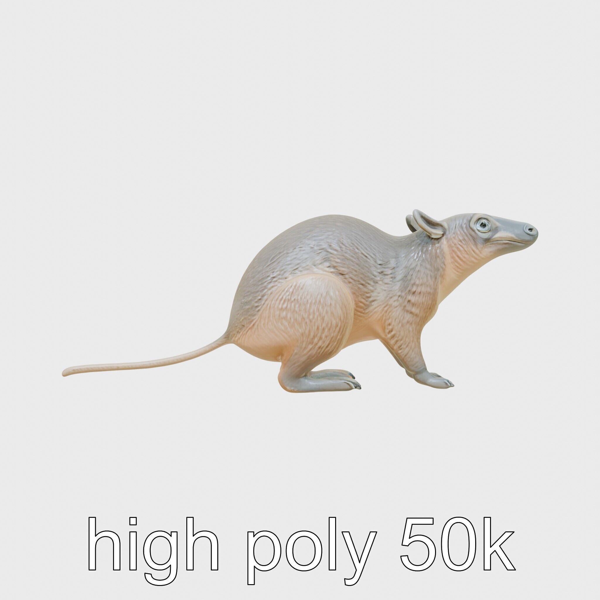Serene Aardvark Model Evoking Tranquility Low-poly 3D model_14