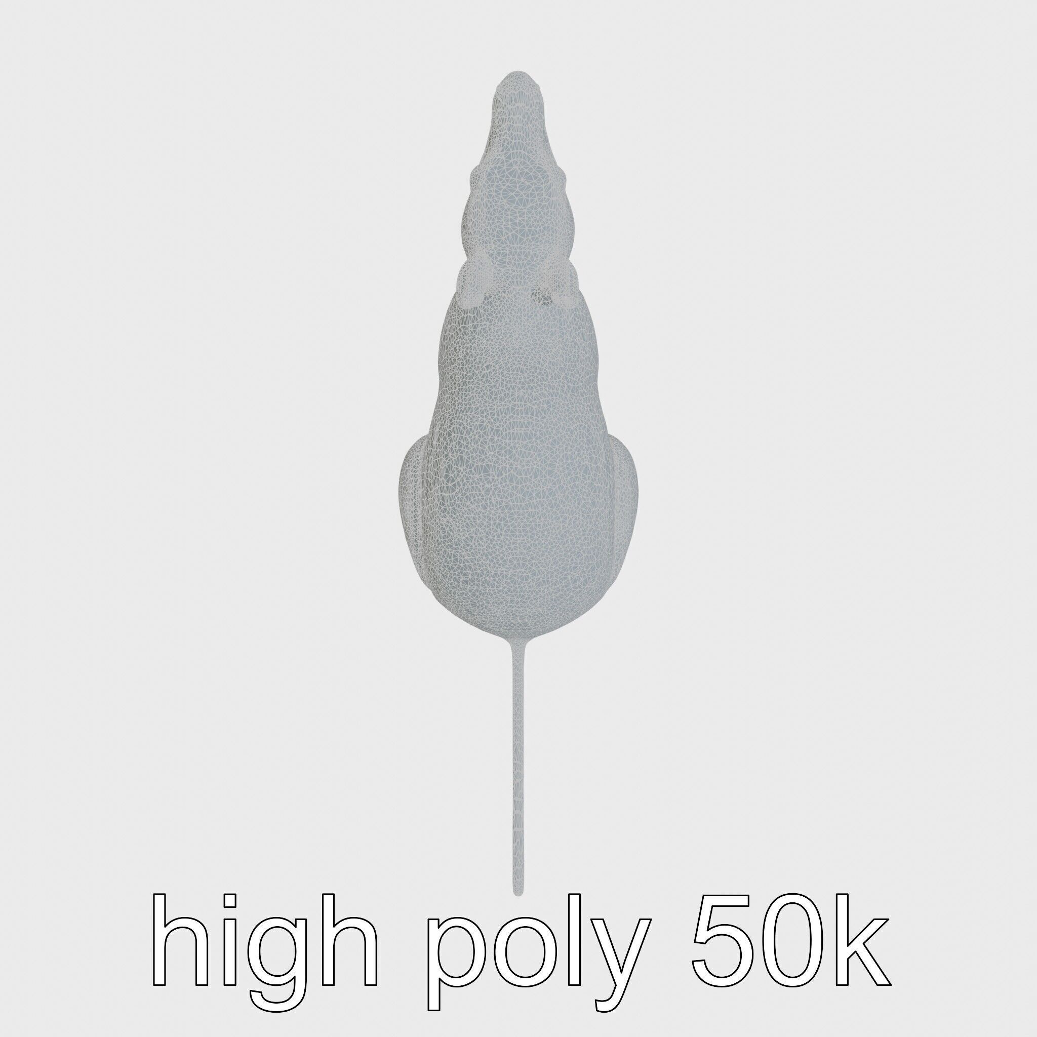 Serene Aardvark Model Evoking Tranquility Low-poly 3D model_21