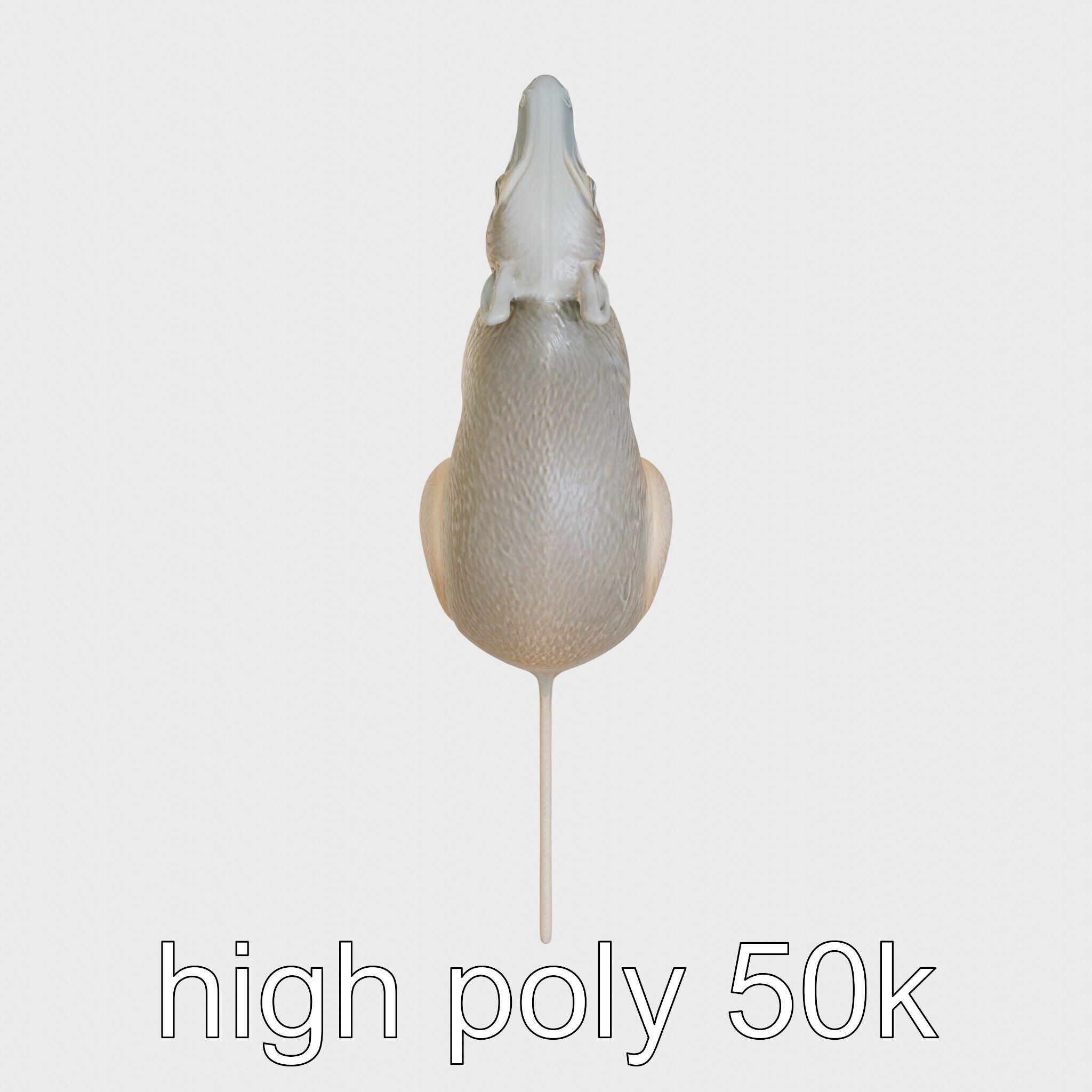 Serene Aardvark Model Evoking Tranquility Low-poly 3D model_26