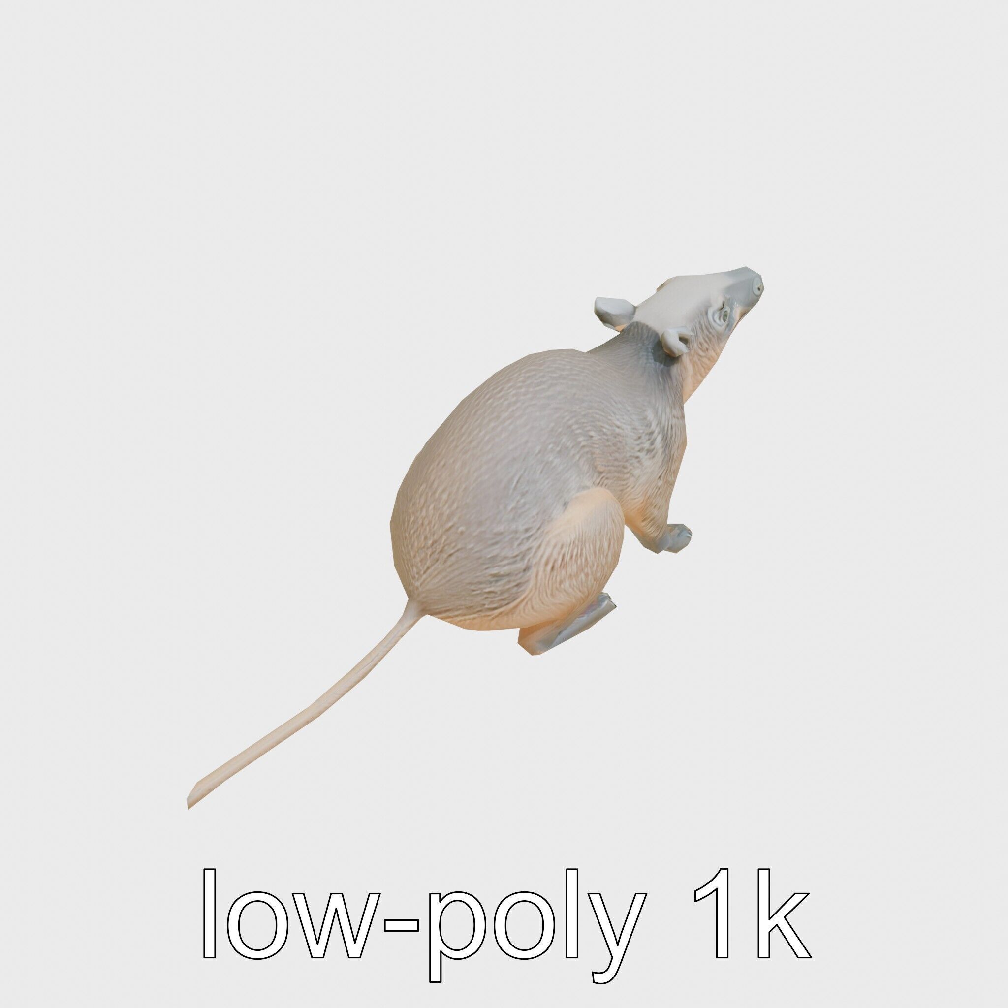 Serene Aardvark Model Evoking Tranquility Low-poly 3D model_13