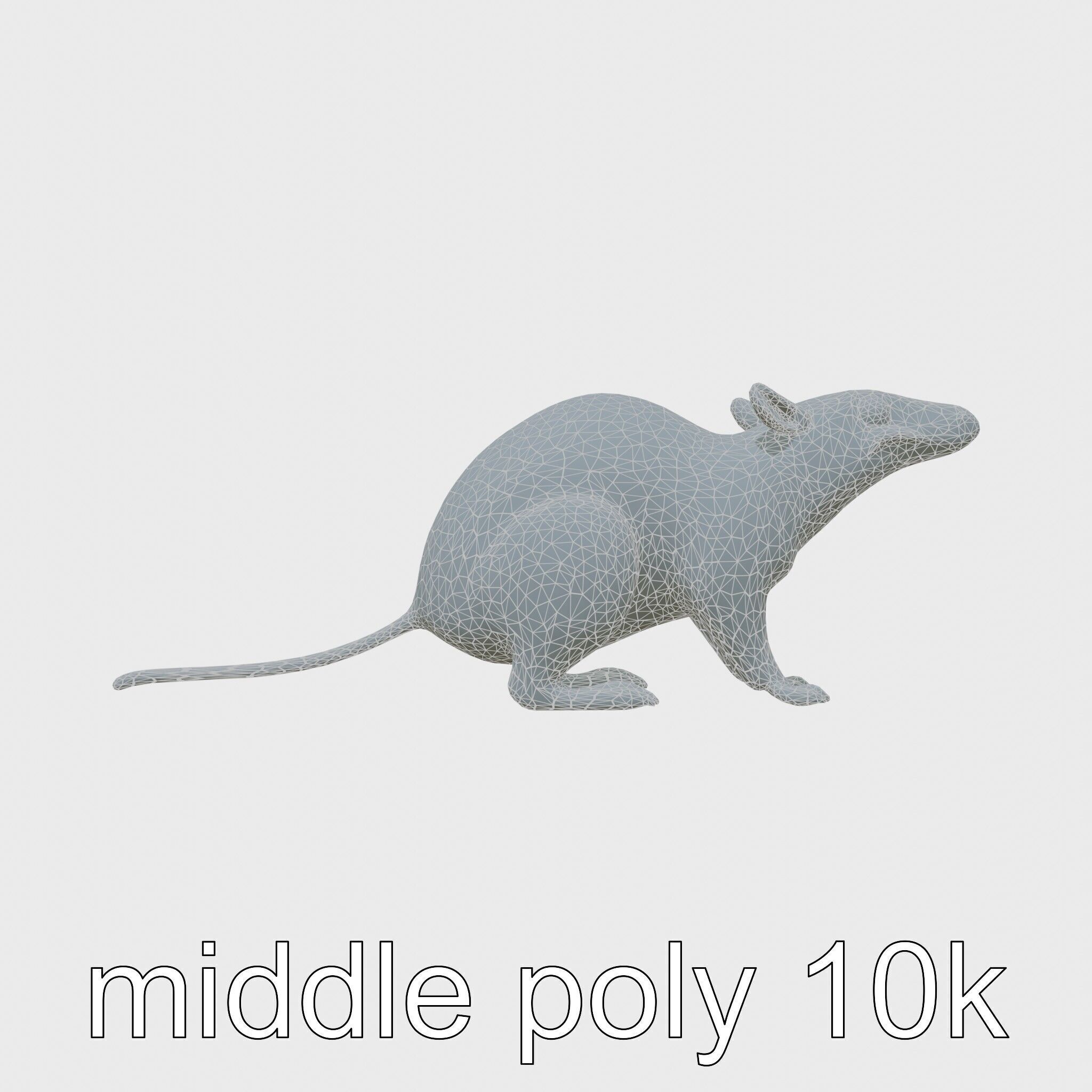 Serene Aardvark Model Evoking Tranquility Low-poly 3D model_22