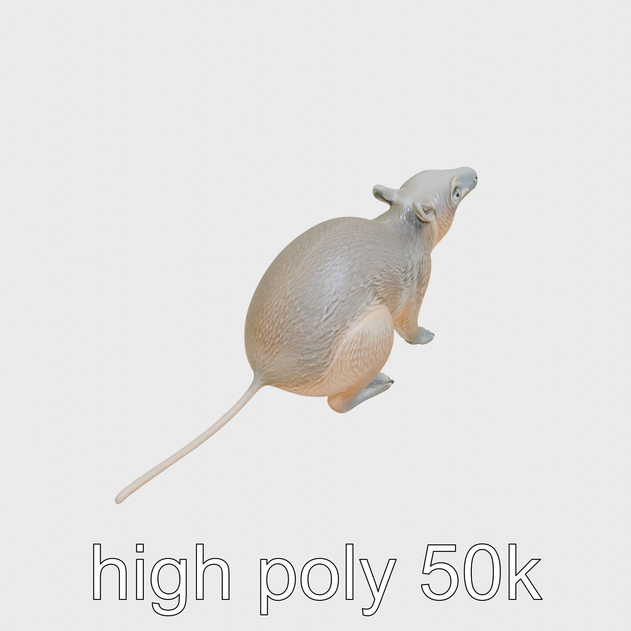 Serene Aardvark Model Evoking Tranquility Low-poly 3D model_11