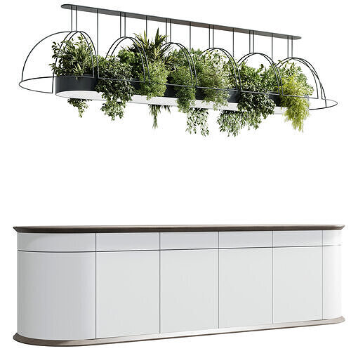 Coffee shop reception Restaurant counter by hanging plant - 13 3D model