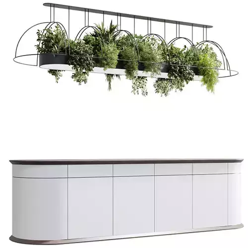 Coffee shop reception Restaurant counter by hanging plant - 13