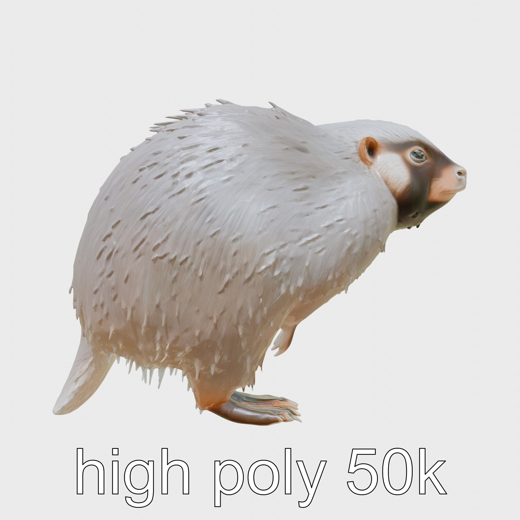 Furry Nutria Marshland Guardian 3D Model Low-poly 3D model_29