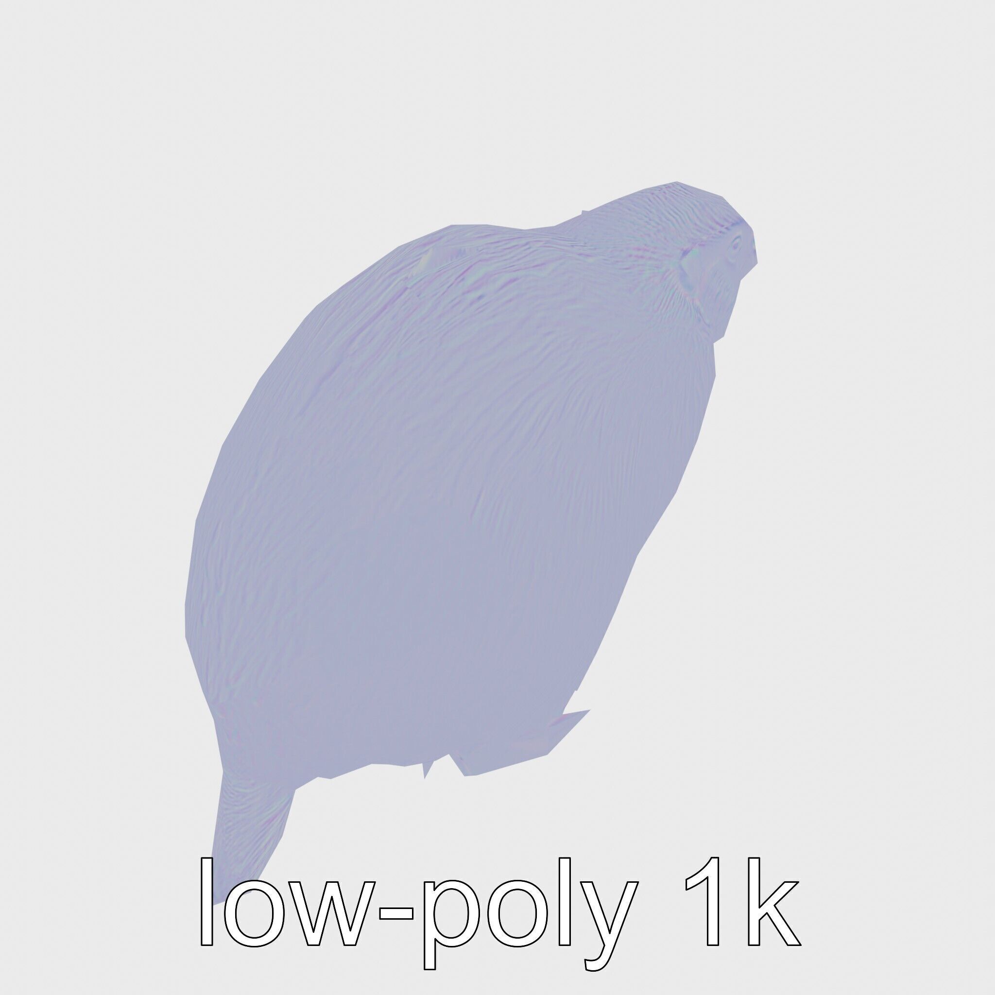 Furry Nutria Marshland Guardian 3D Model Low-poly 3D model_17