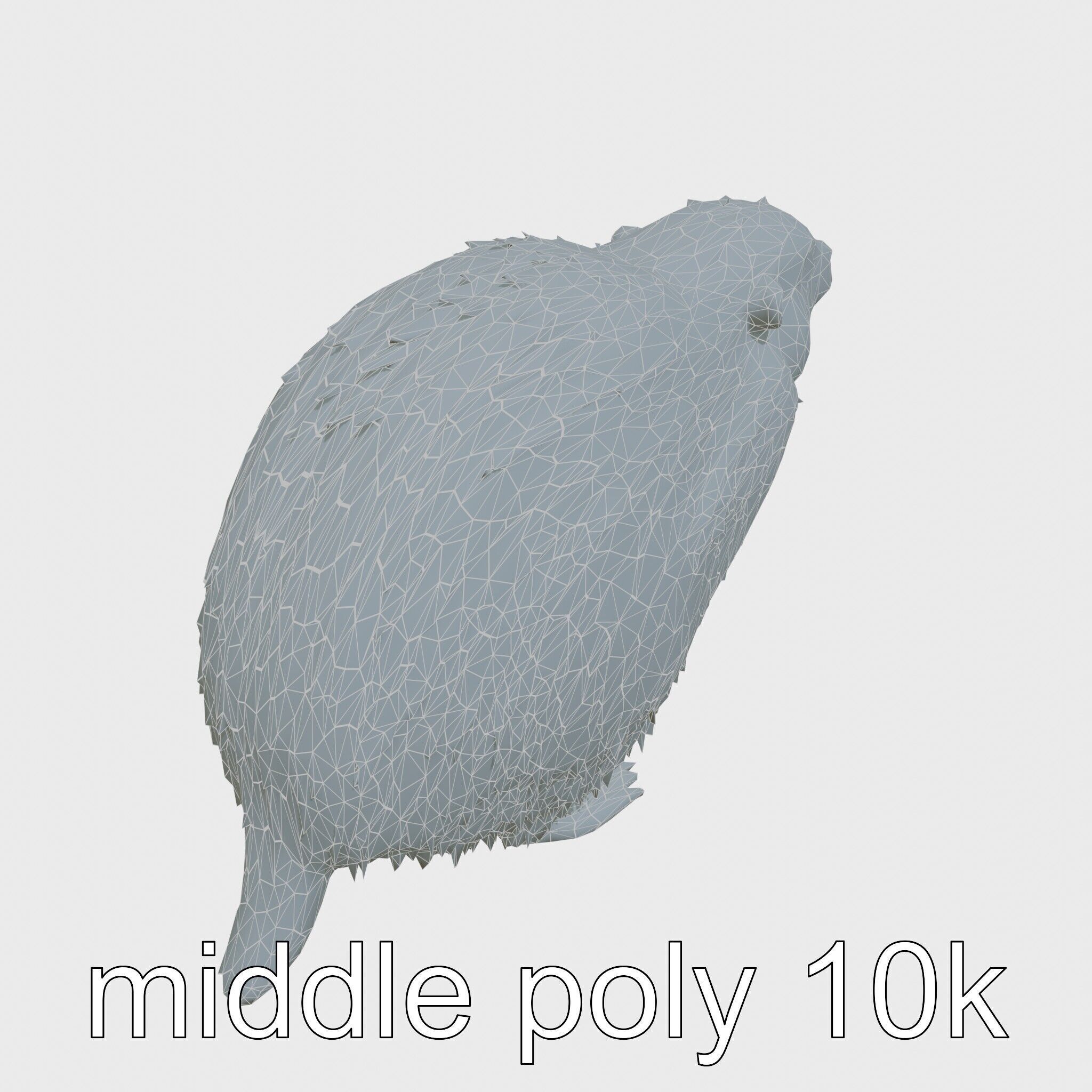 Furry Nutria Marshland Guardian 3D Model Low-poly 3D model_15