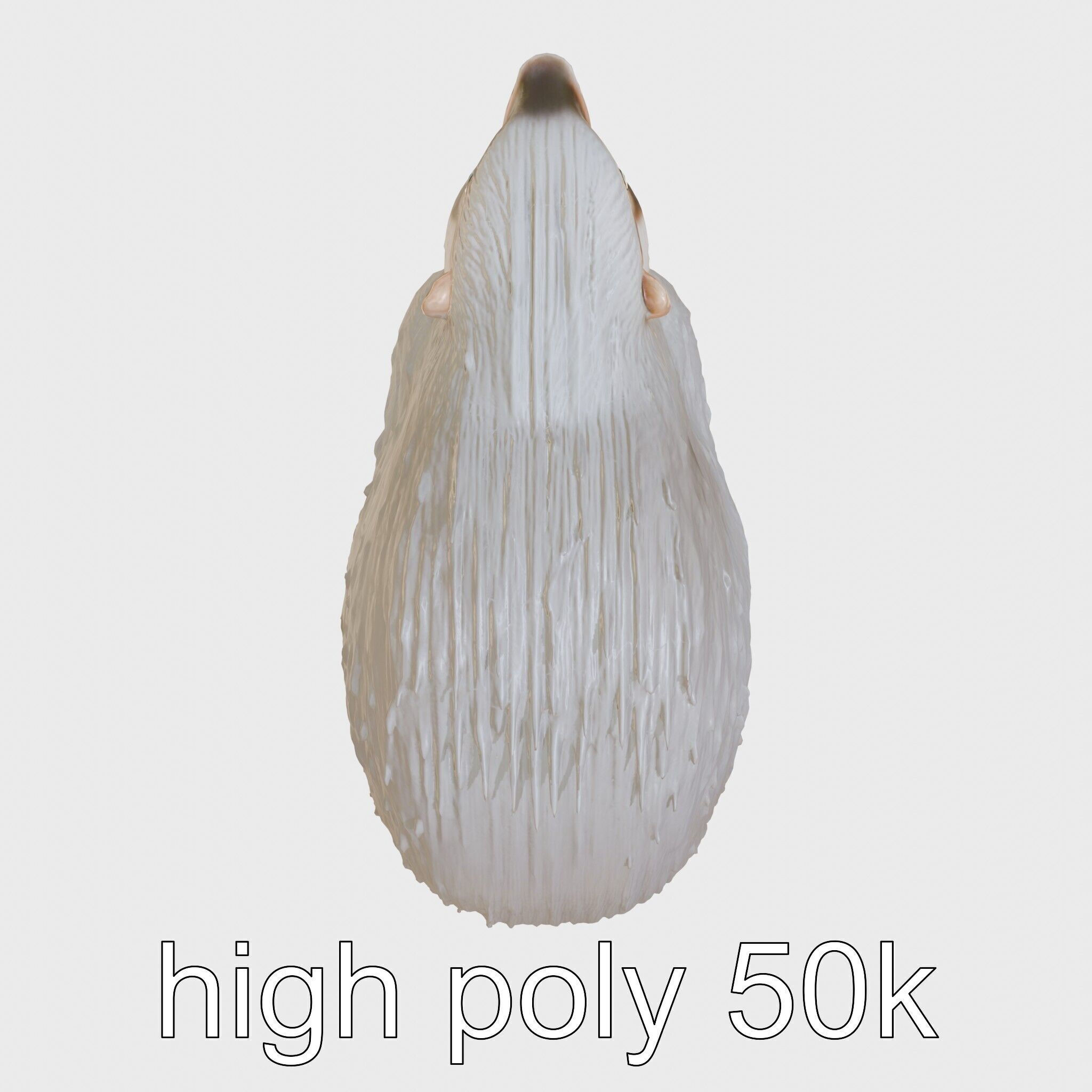 Furry Nutria Marshland Guardian 3D Model Low-poly 3D model_16