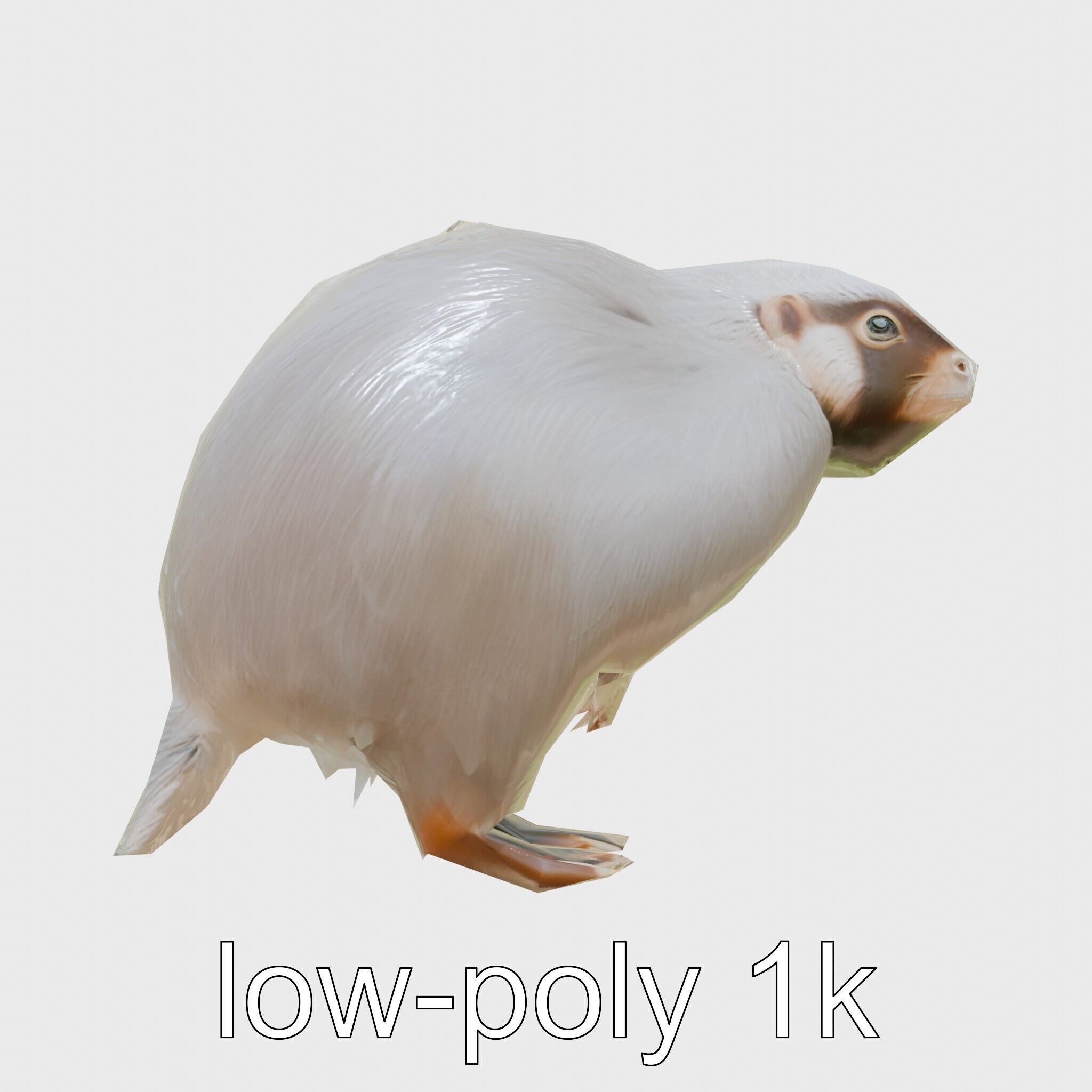 Furry Nutria Marshland Guardian 3D Model Low-poly 3D model_18