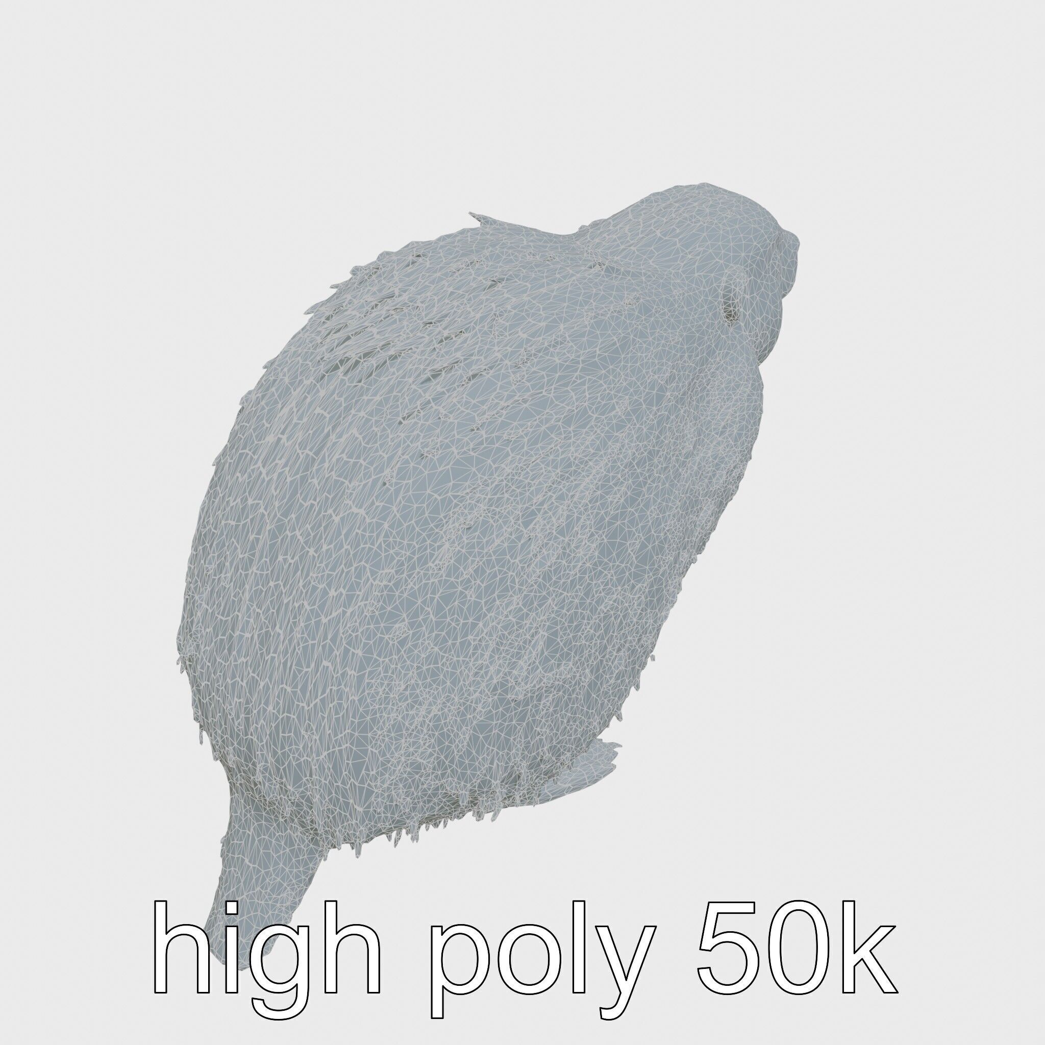 Furry Nutria Marshland Guardian 3D Model Low-poly 3D model_28