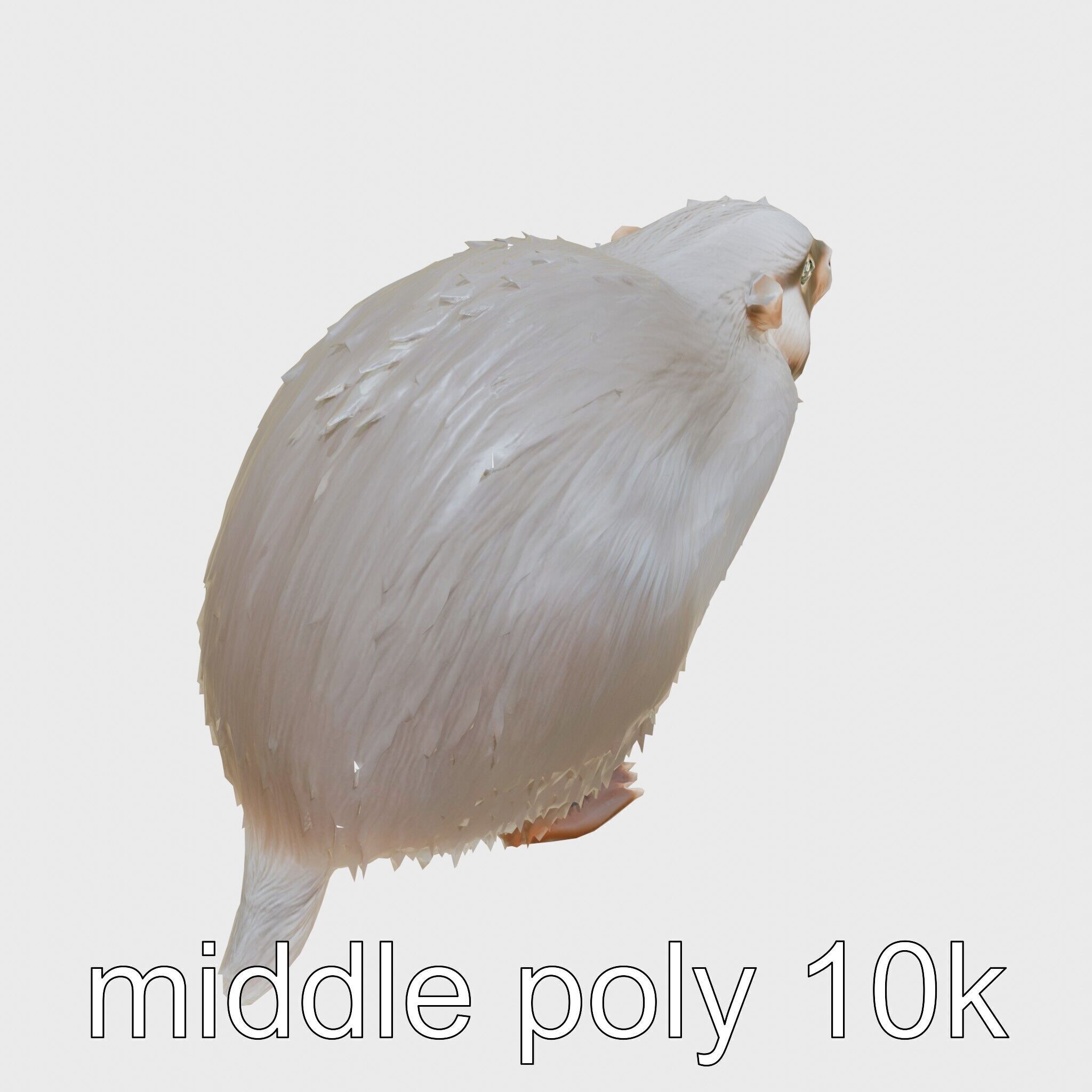 Furry Nutria Marshland Guardian 3D Model Low-poly 3D model_12