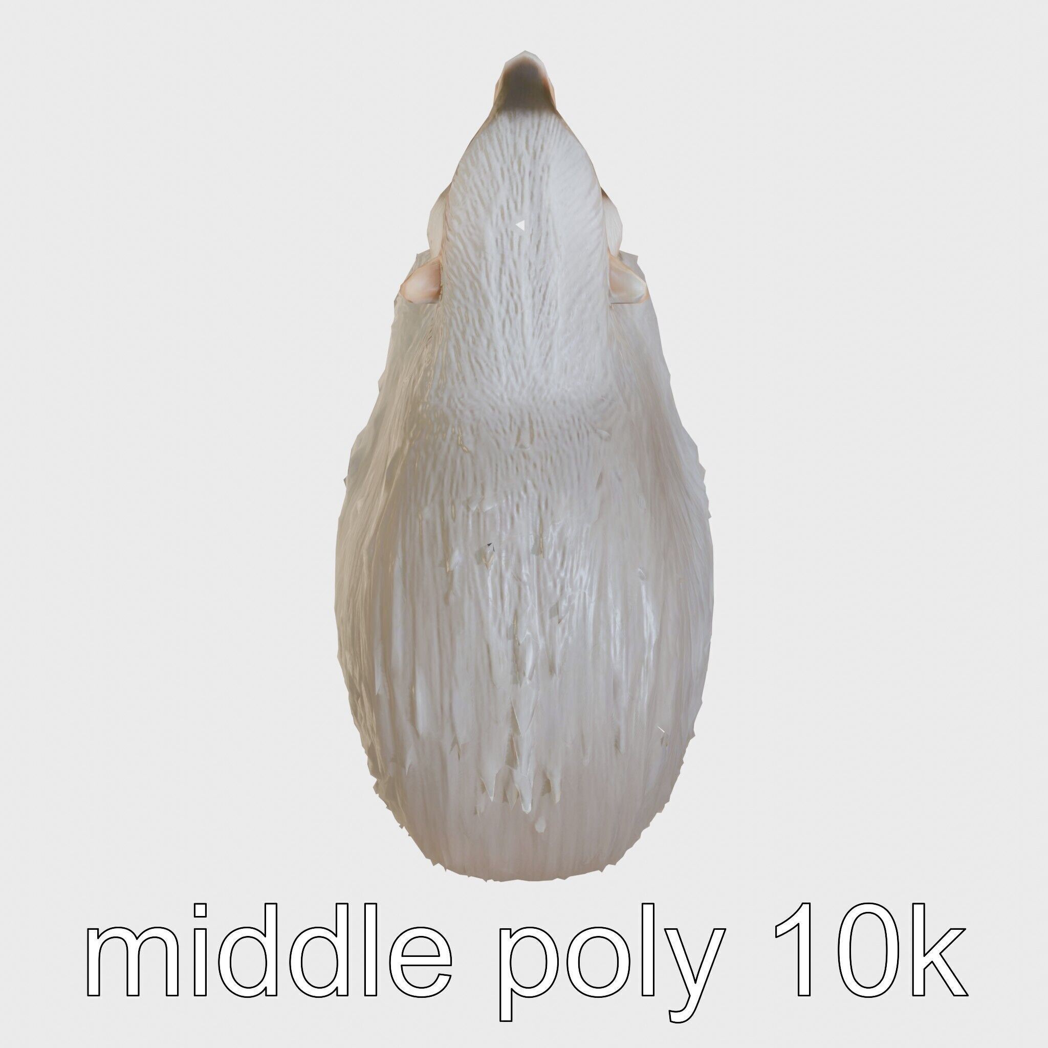 Furry Nutria Marshland Guardian 3D Model Low-poly 3D model_20