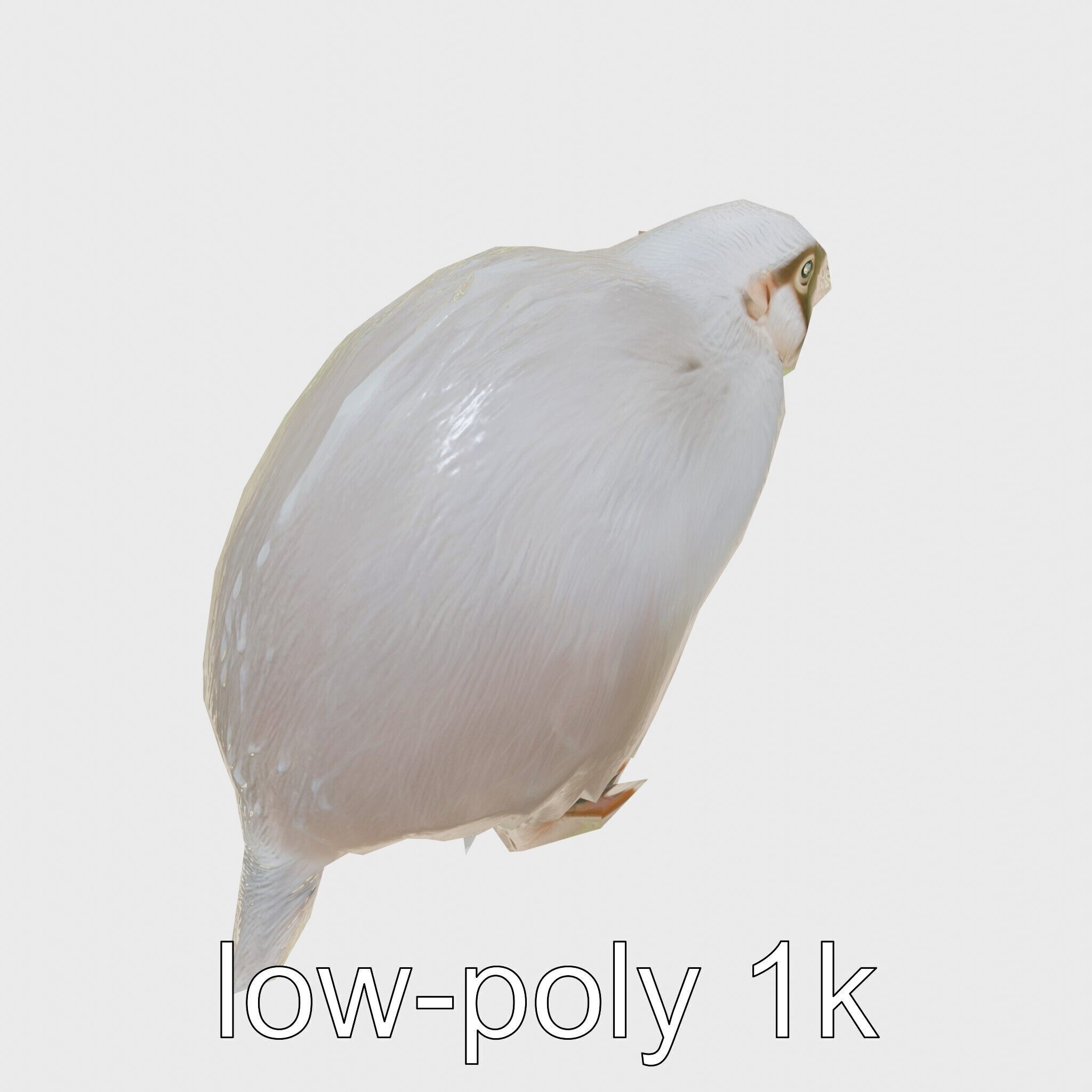 Furry Nutria Marshland Guardian 3D Model Low-poly 3D model_22