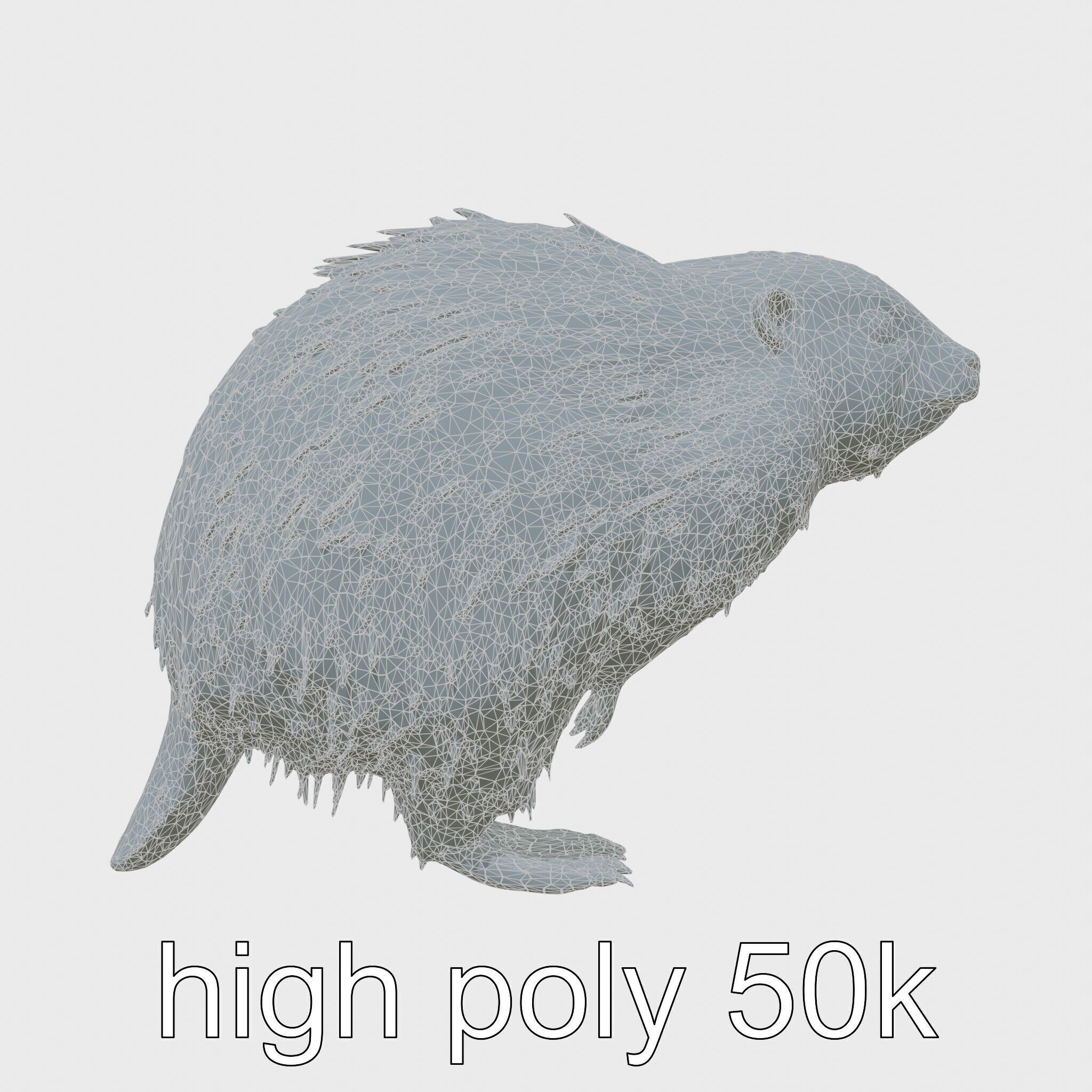 Furry Nutria Marshland Guardian 3D Model Low-poly 3D model_31
