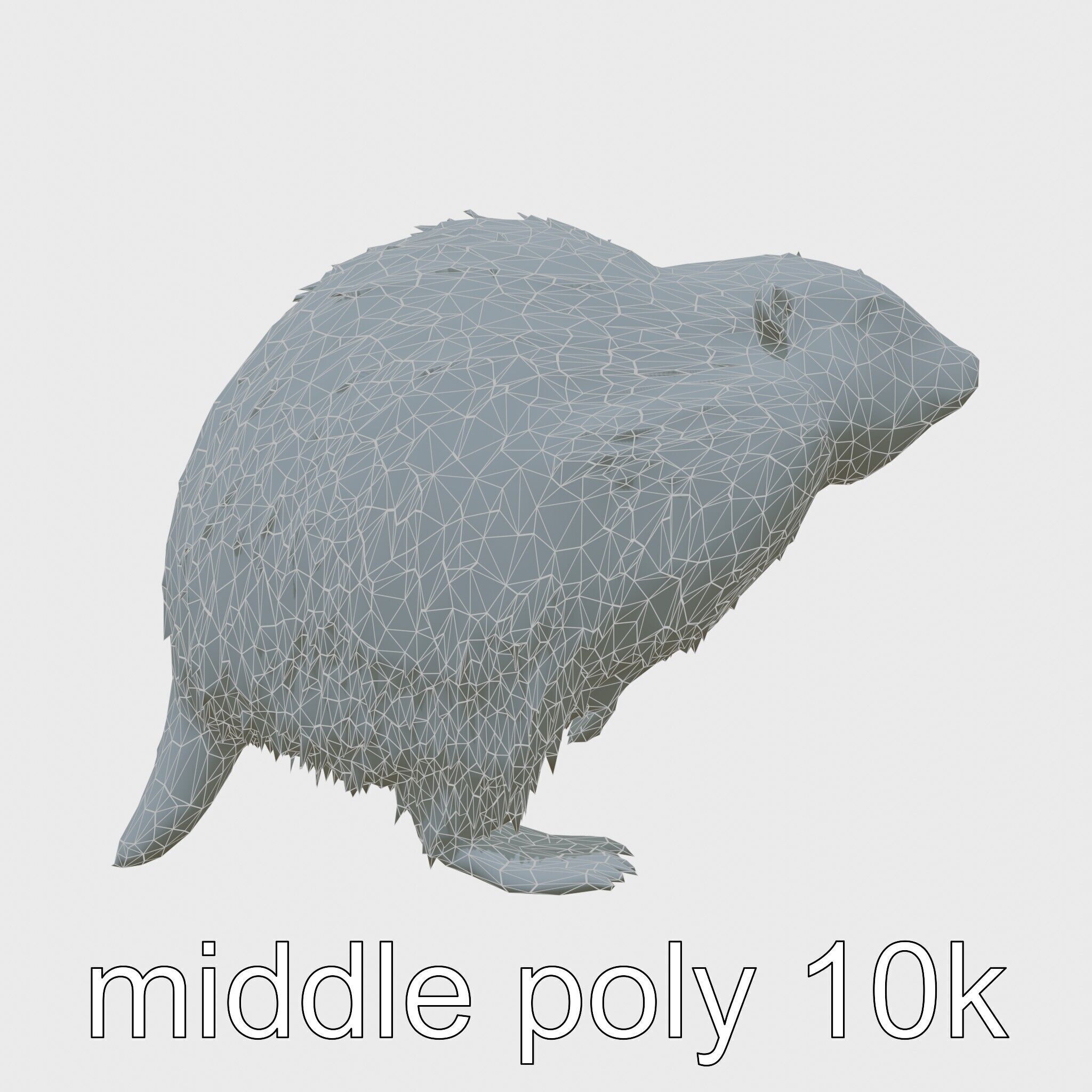 Furry Nutria Marshland Guardian 3D Model Low-poly 3D model_21