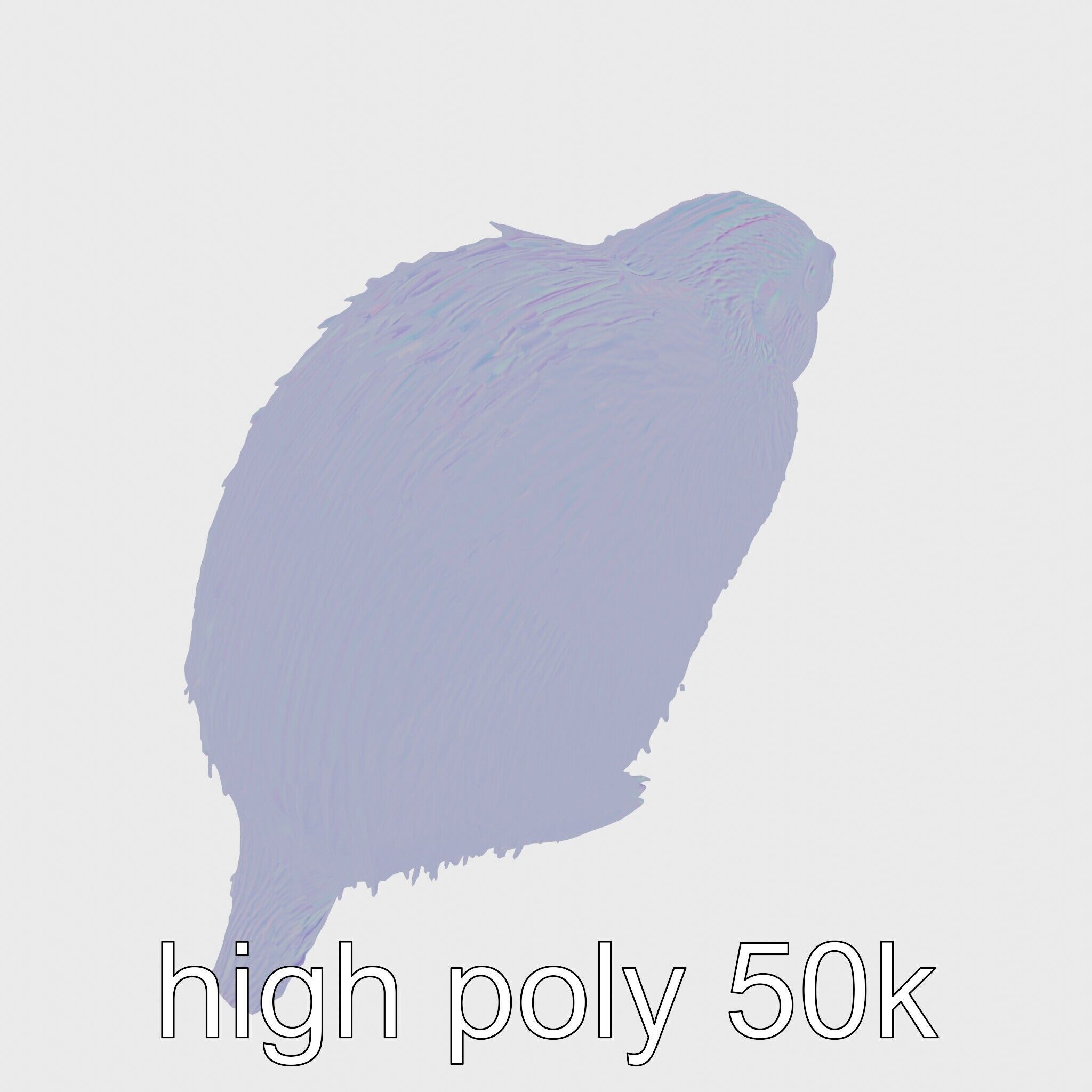 Furry Nutria Marshland Guardian 3D Model Low-poly 3D model_25