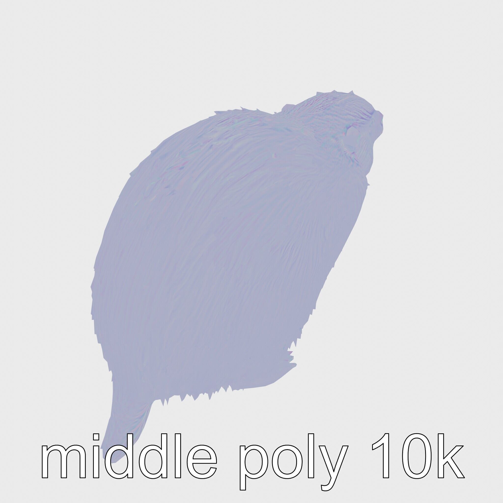 Furry Nutria Marshland Guardian 3D Model Low-poly 3D model_27