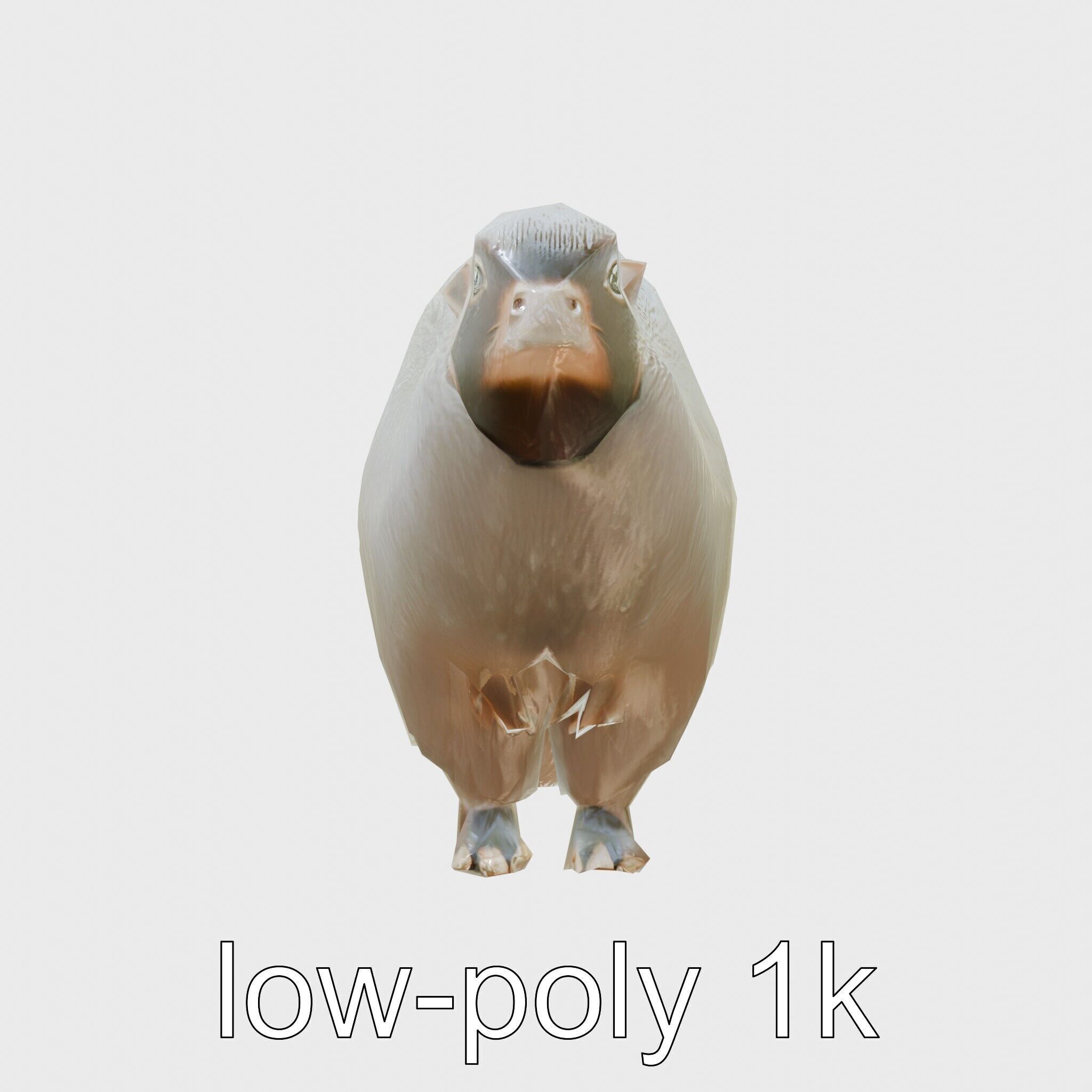 Furry Nutria Marshland Guardian 3D Model Low-poly 3D model_7