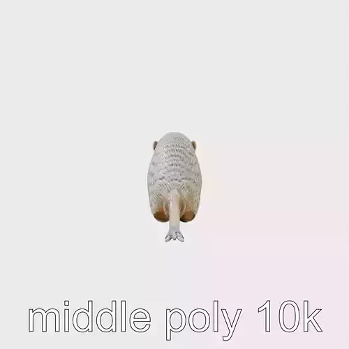 Tranquil Marsh Dweller Nutria 3D Model