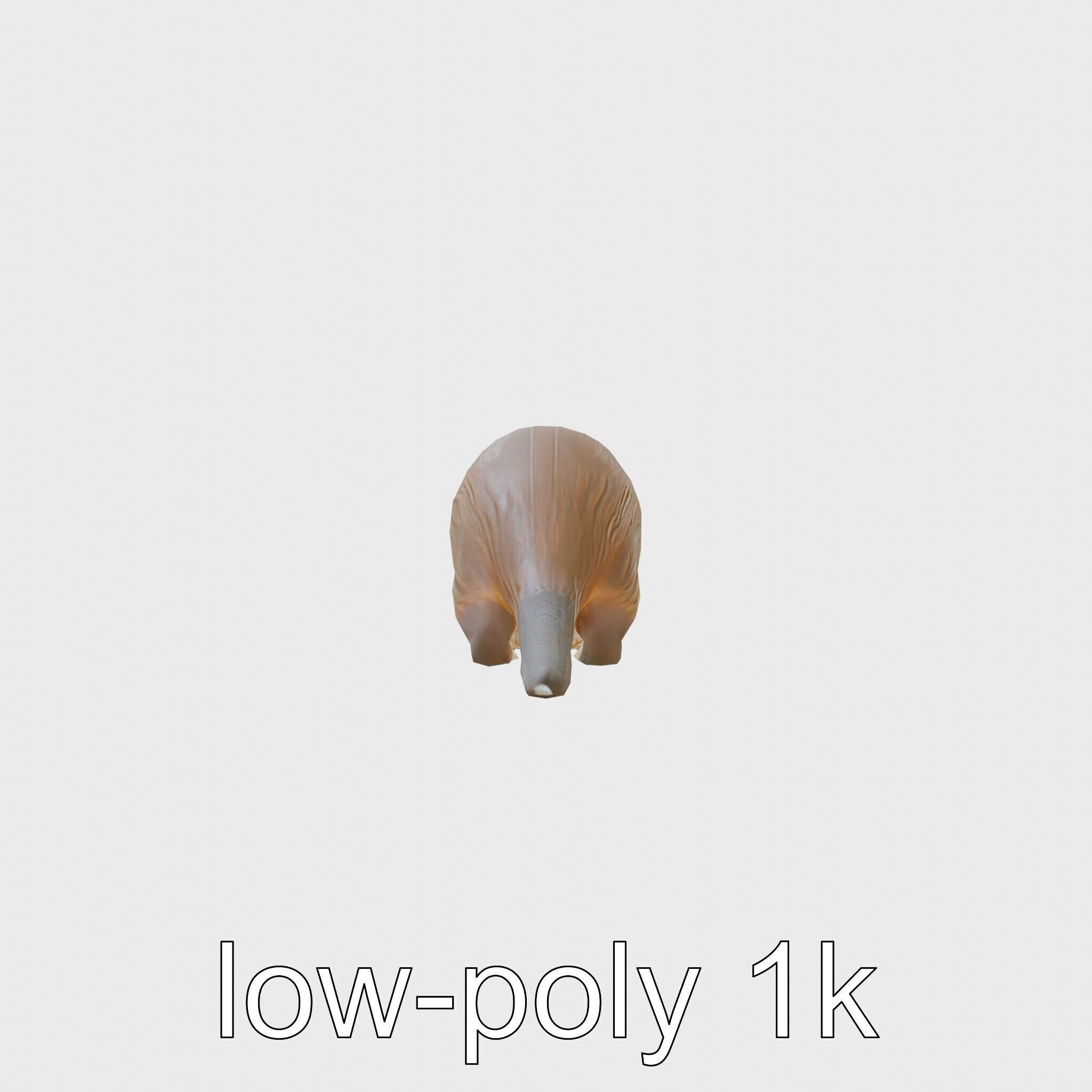 Nutria by the Riverbank 3D Model Low-poly 3D model_21