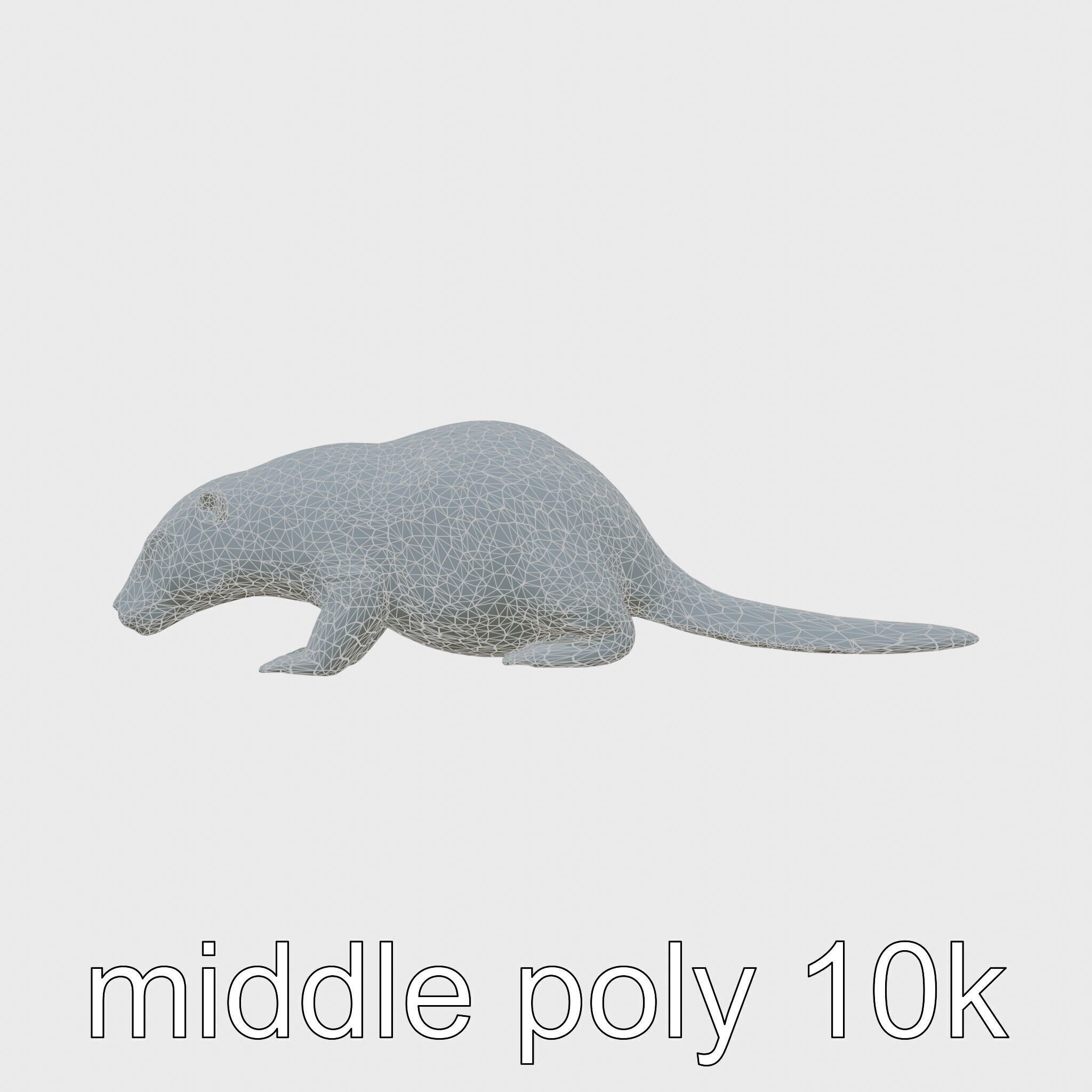 Nutria by the Riverbank 3D Model Low-poly 3D model_18