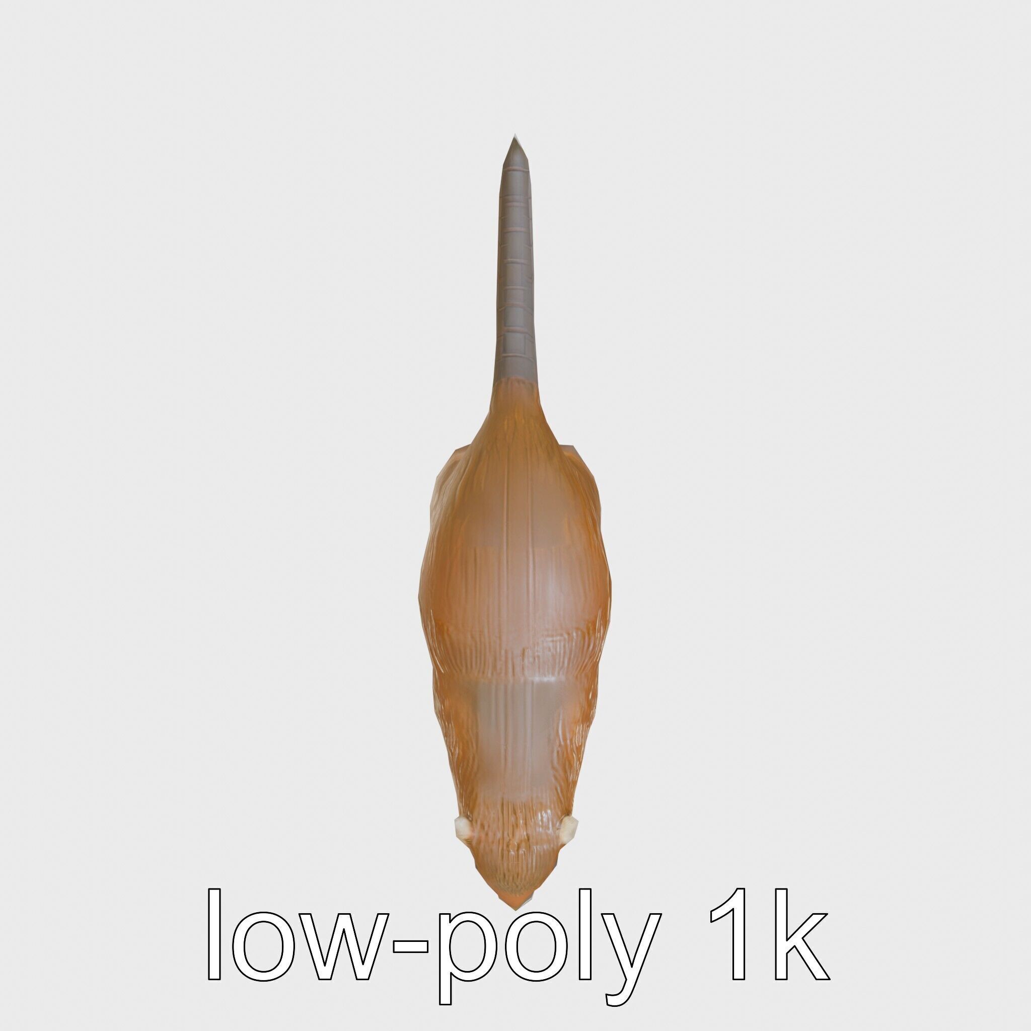 Nutria by the Riverbank 3D Model Low-poly 3D model_13