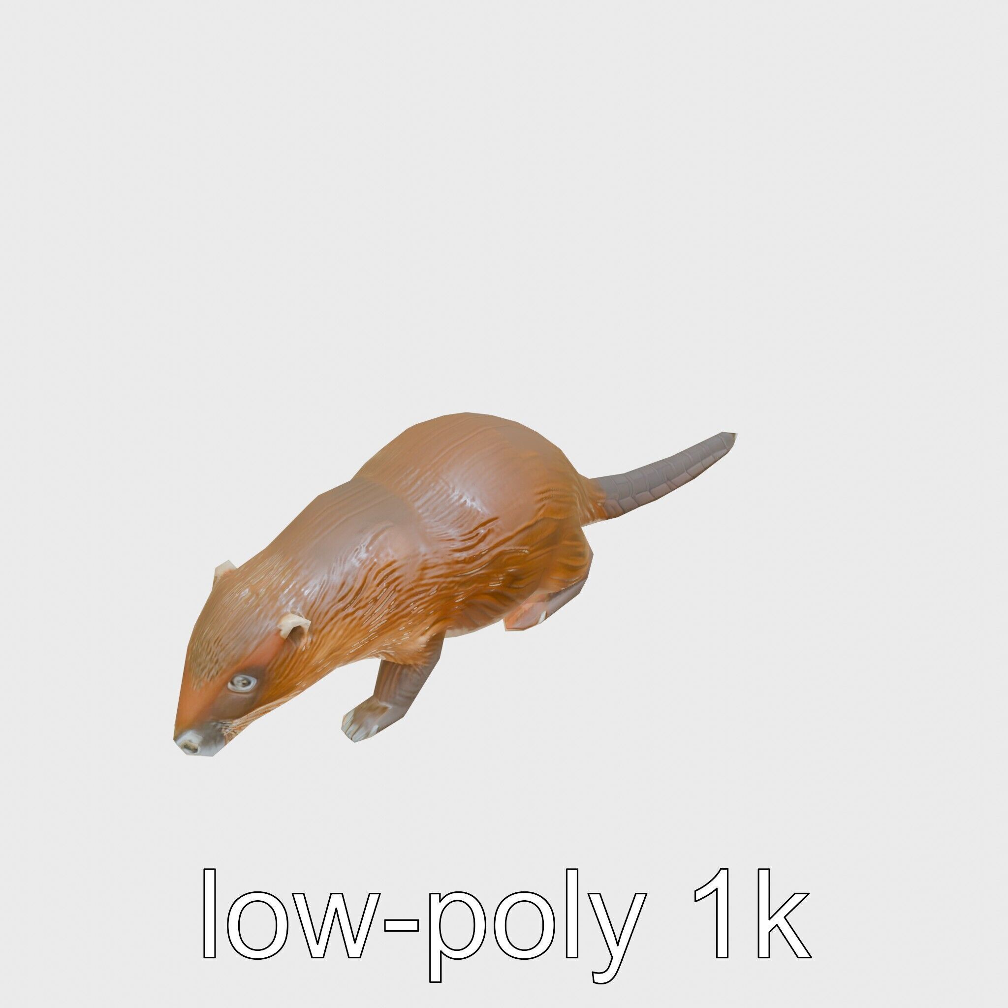 Nutria by the Riverbank 3D Model Low-poly 3D model_27