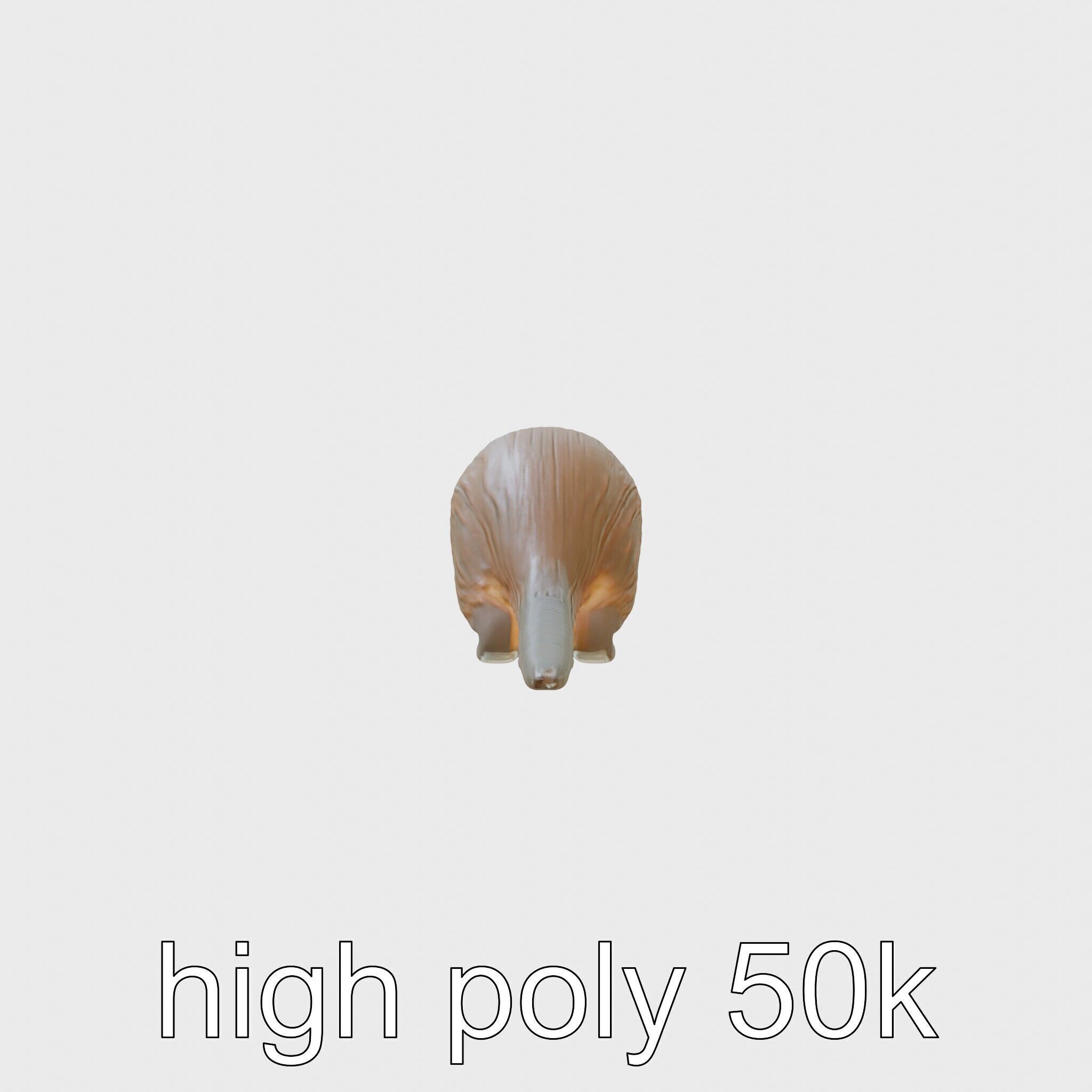 Nutria by the Riverbank 3D Model Low-poly 3D model_5