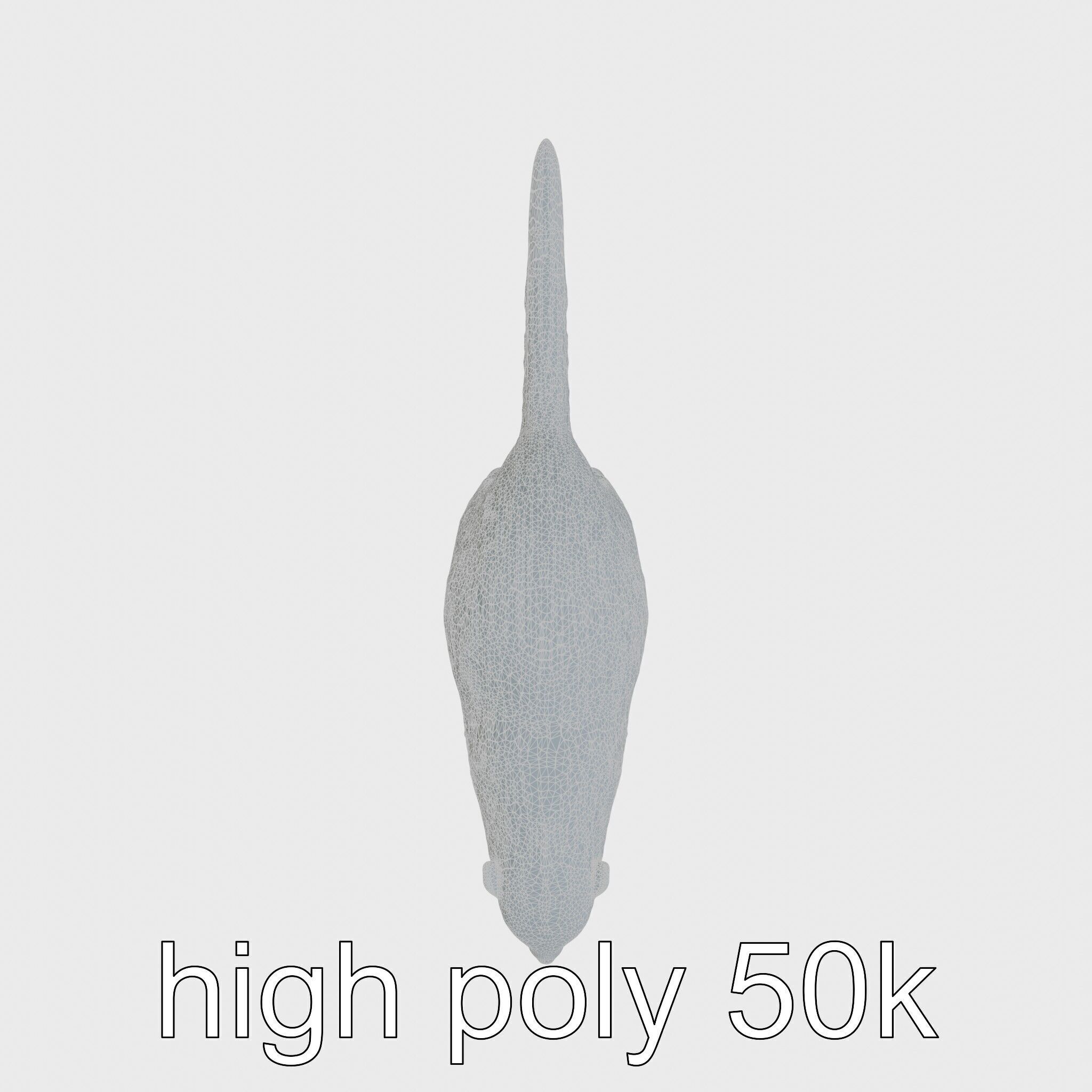 Nutria by the Riverbank 3D Model Low-poly 3D model_33