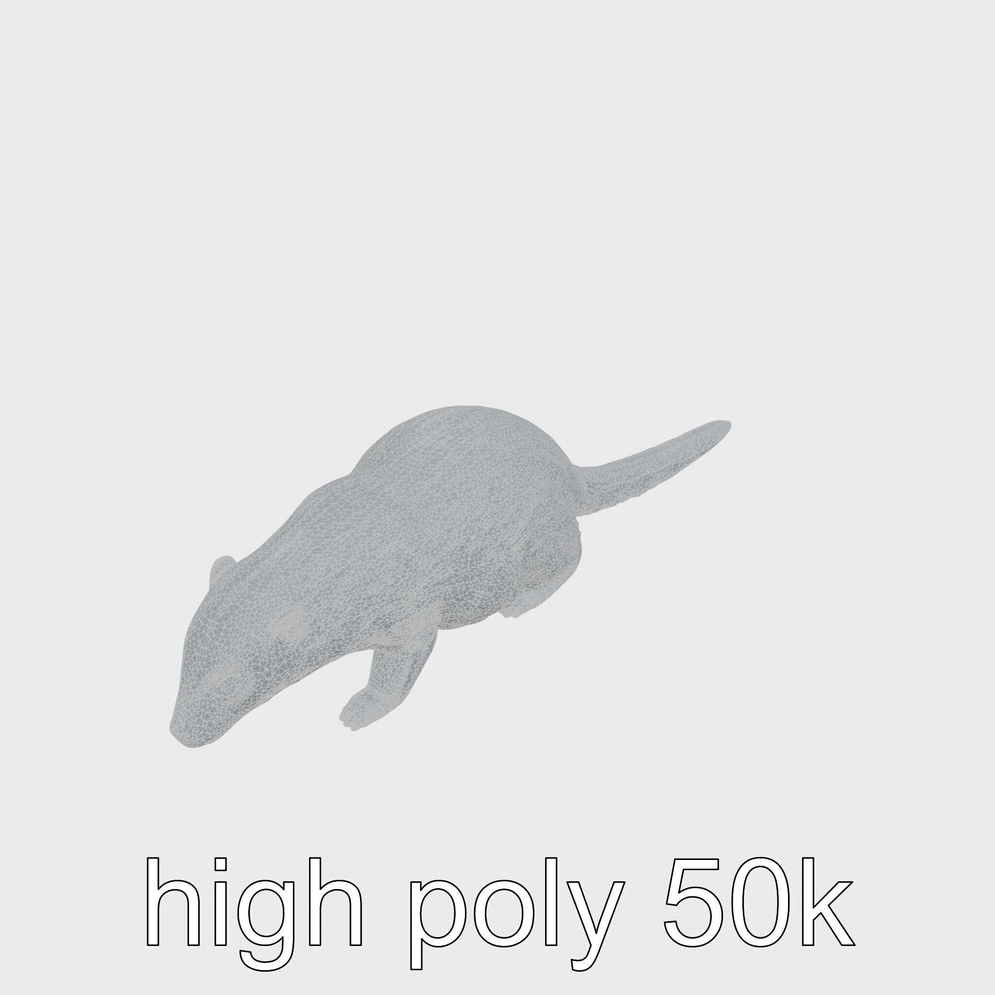 Nutria by the Riverbank 3D Model Low-poly 3D model_15