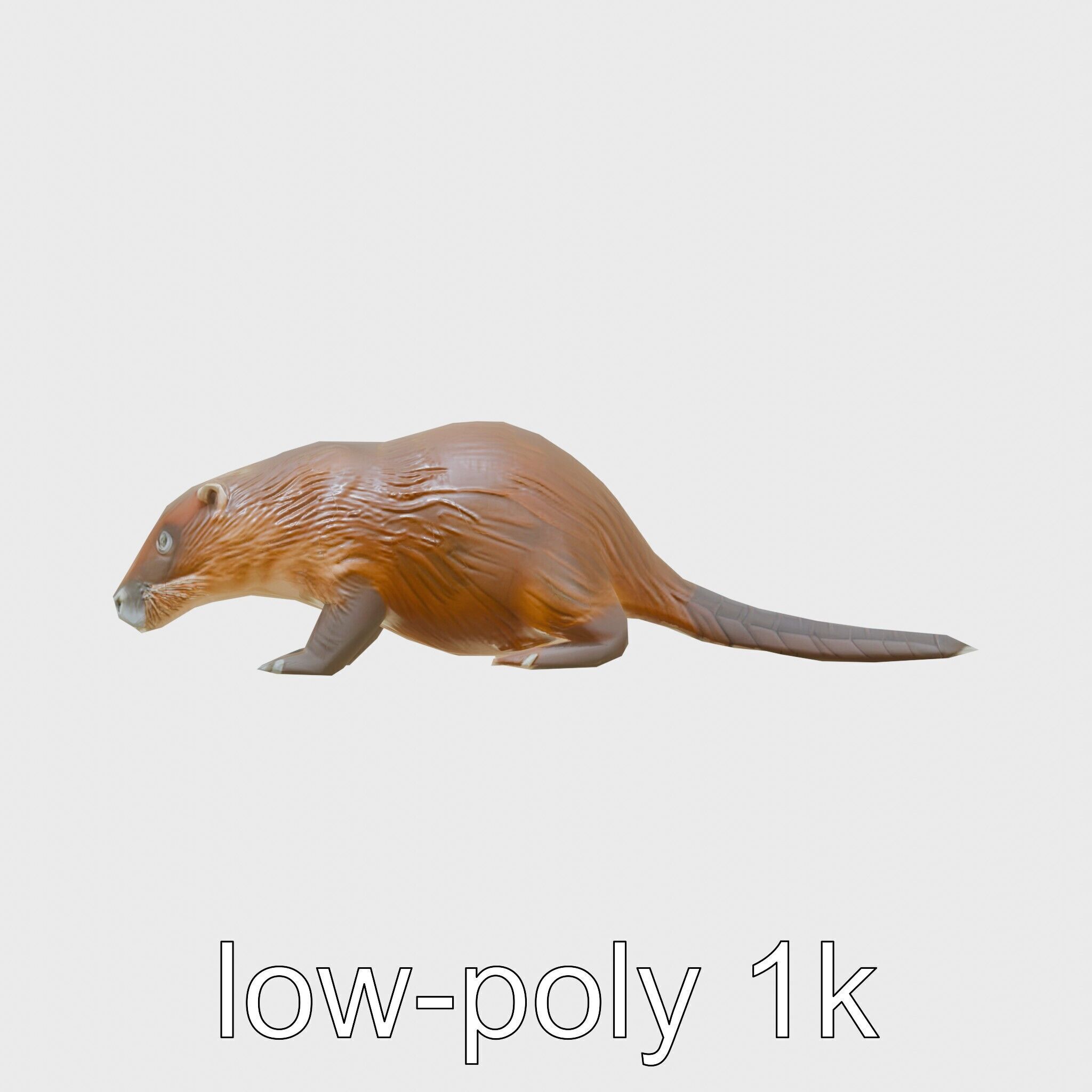 Nutria by the Riverbank 3D Model Low-poly 3D model_7