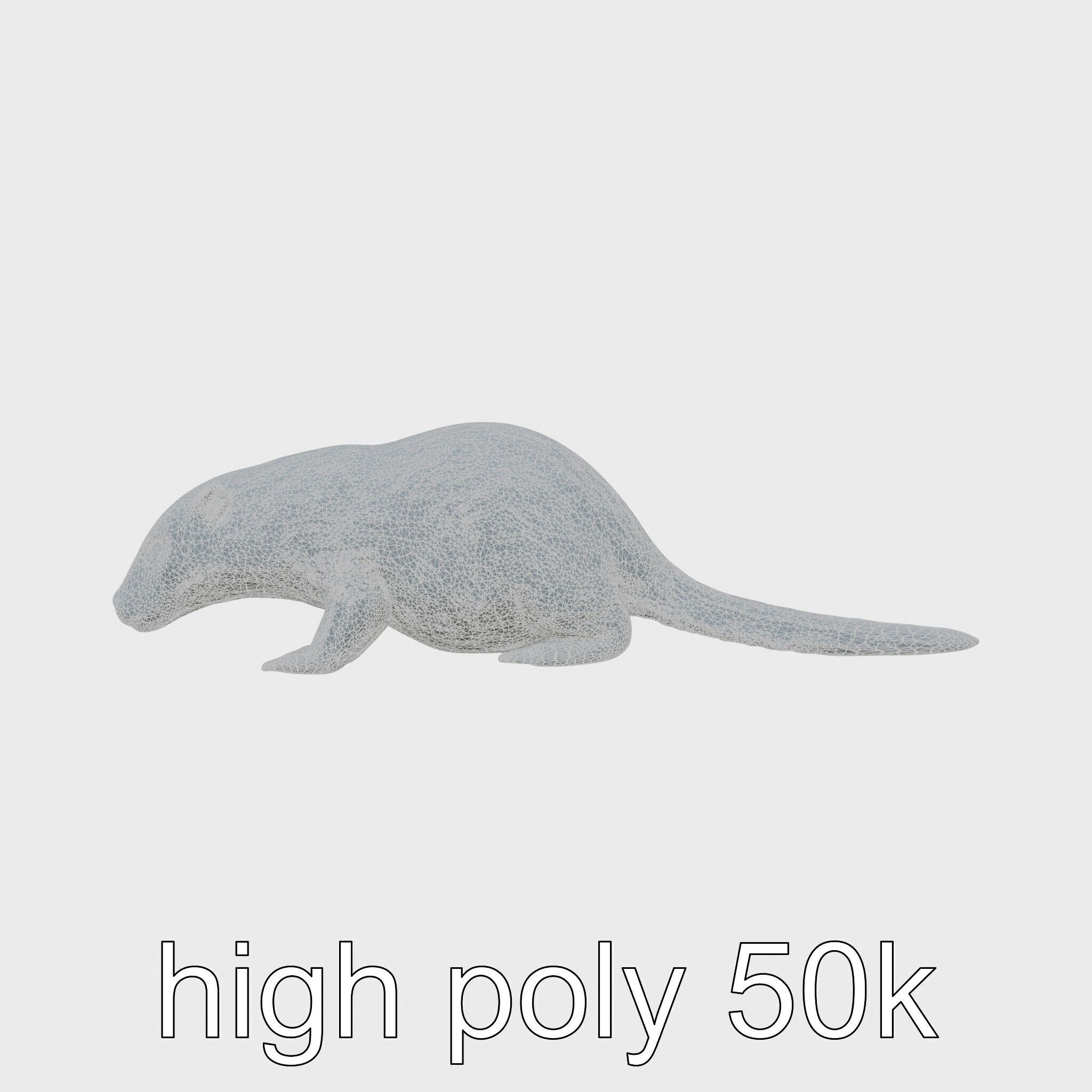 Nutria by the Riverbank 3D Model Low-poly 3D model_25