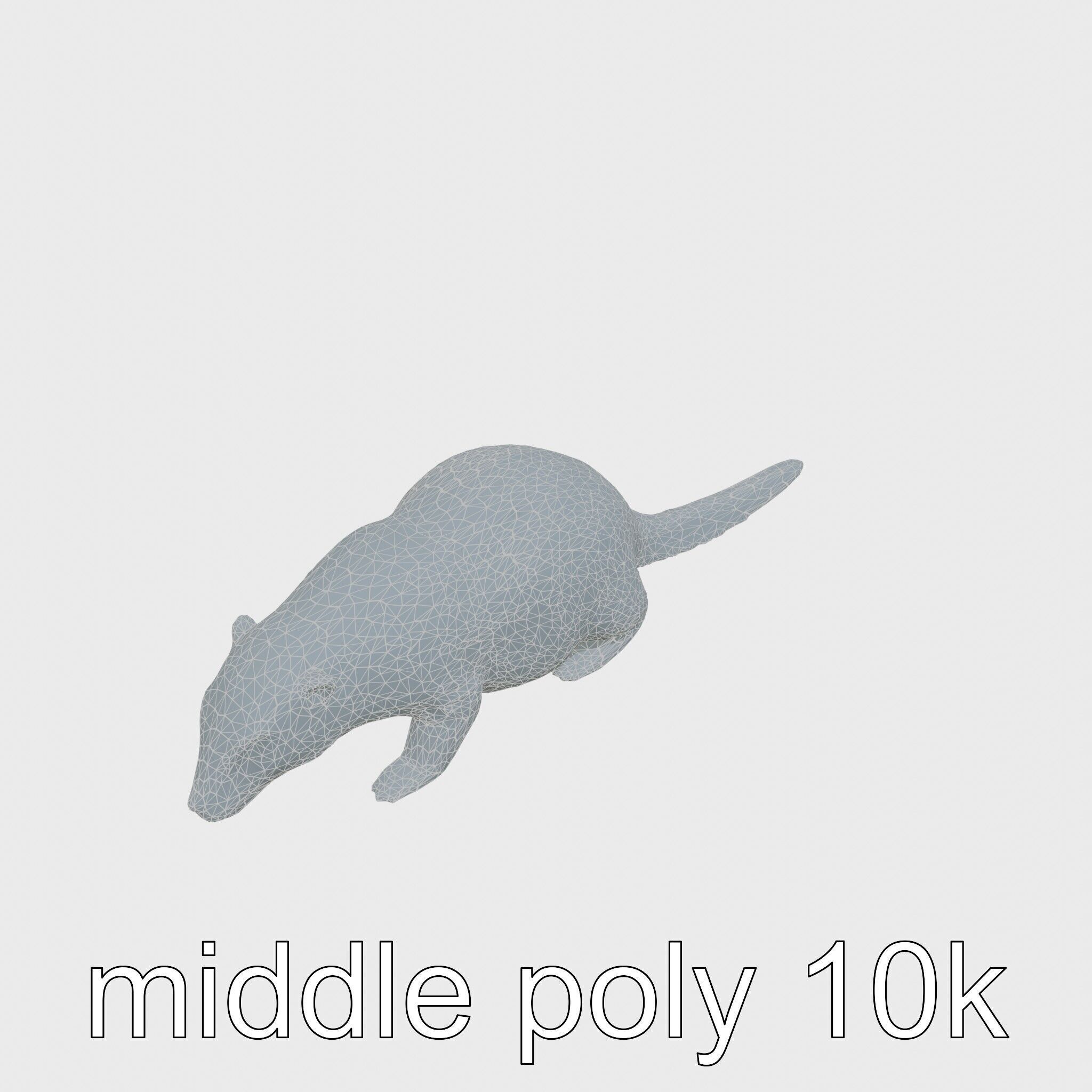 Nutria by the Riverbank 3D Model Low-poly 3D model_16