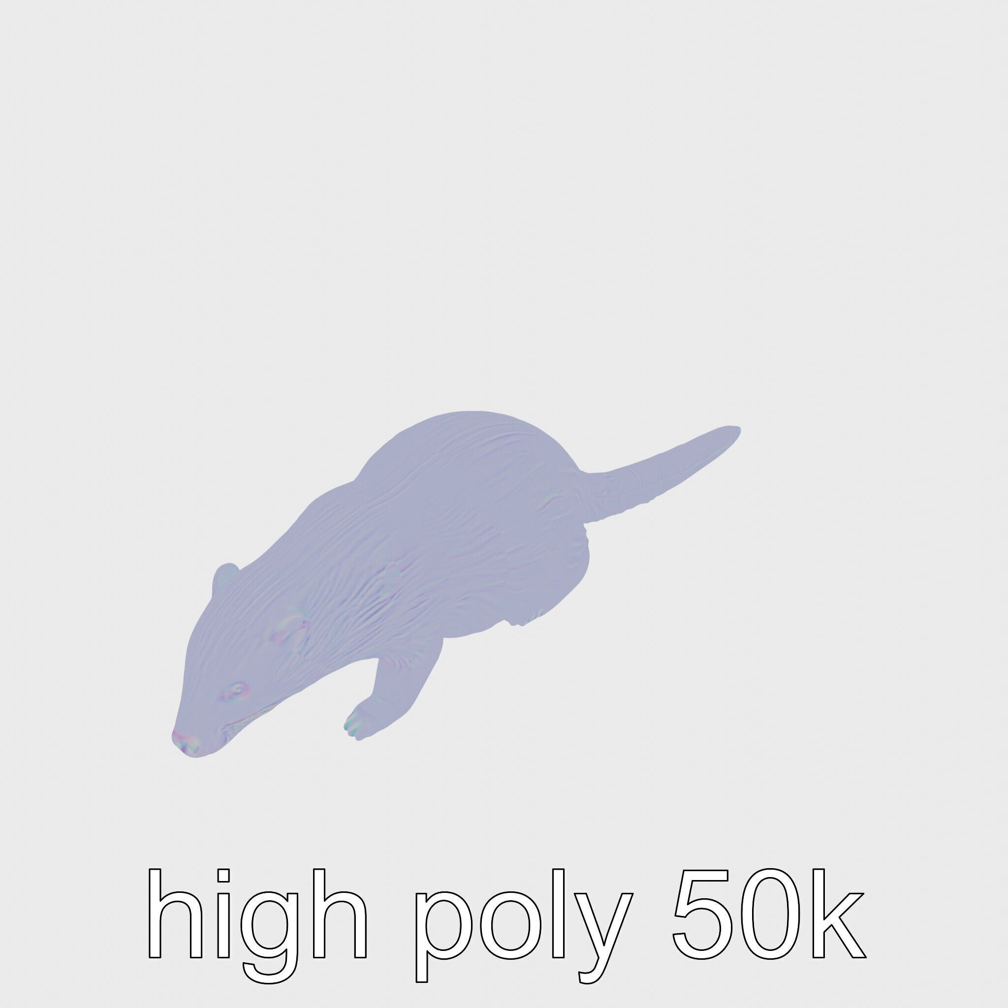 Nutria by the Riverbank 3D Model Low-poly 3D model_22