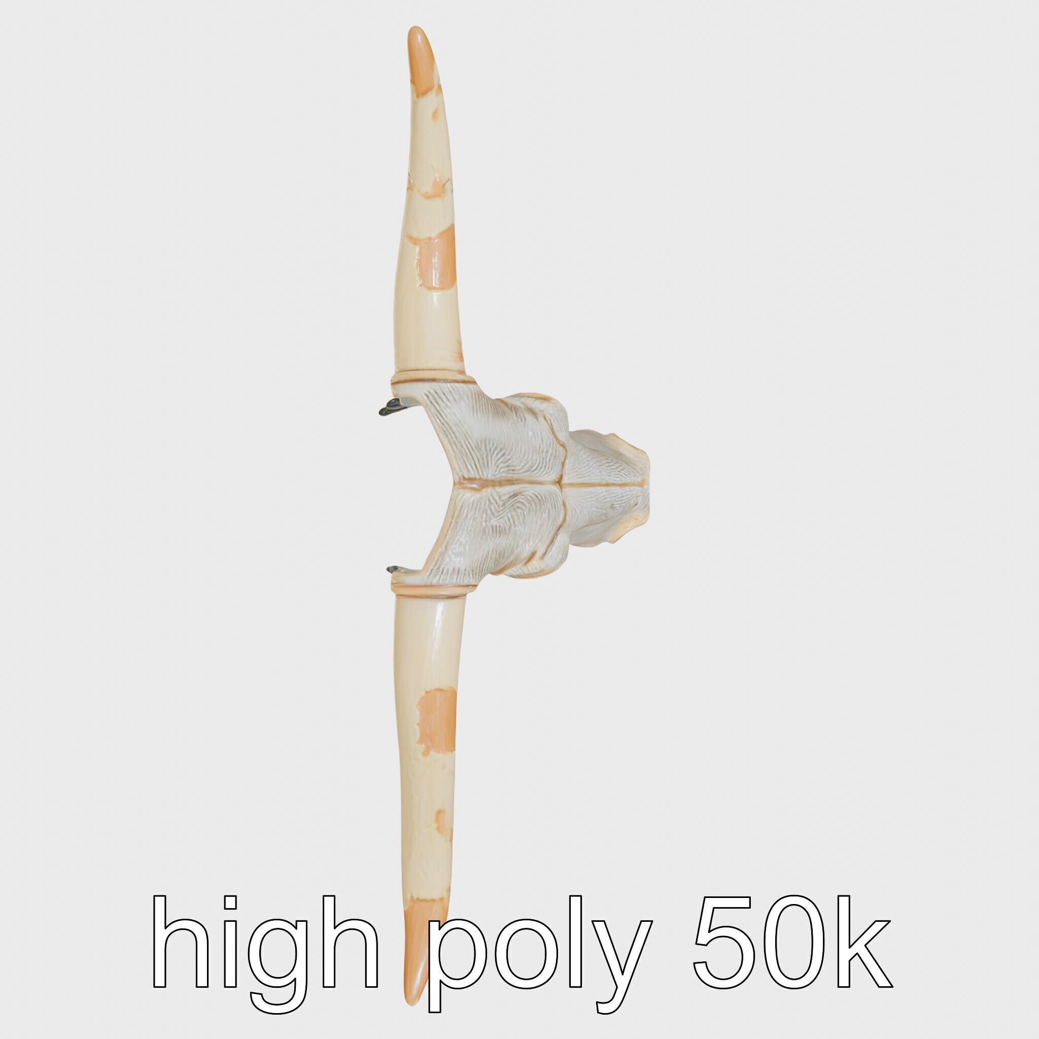 Lone Star Longhorn Bull Head Sculpture Low-poly 3D model_22