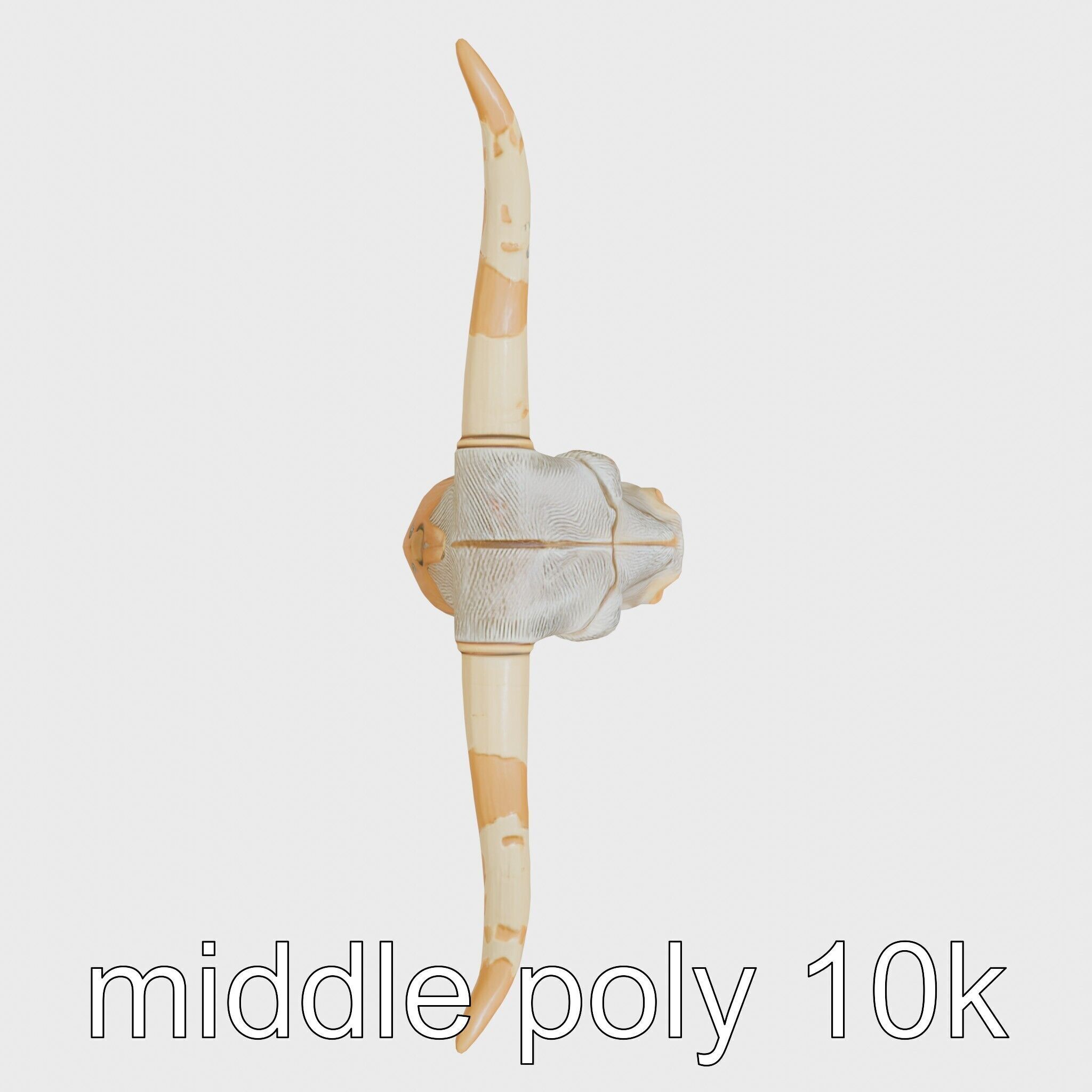 Lone Star Longhorn Bull Head Sculpture Low-poly 3D model_29