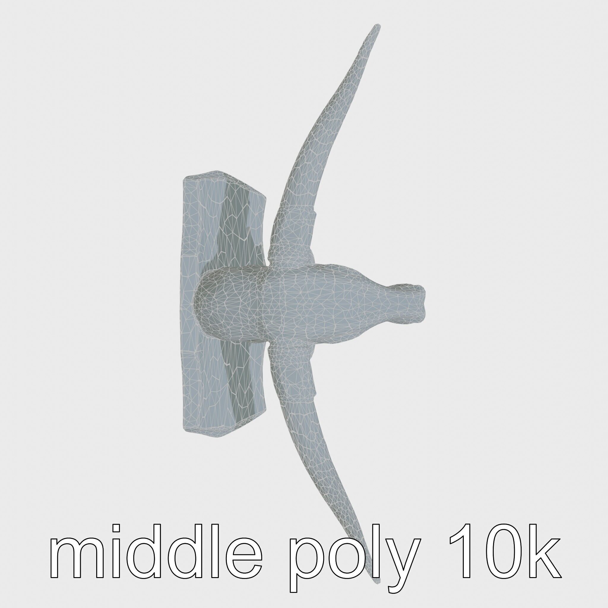 Longhorn Bull Trophy Western Heritage Model Low-poly 3D model_9