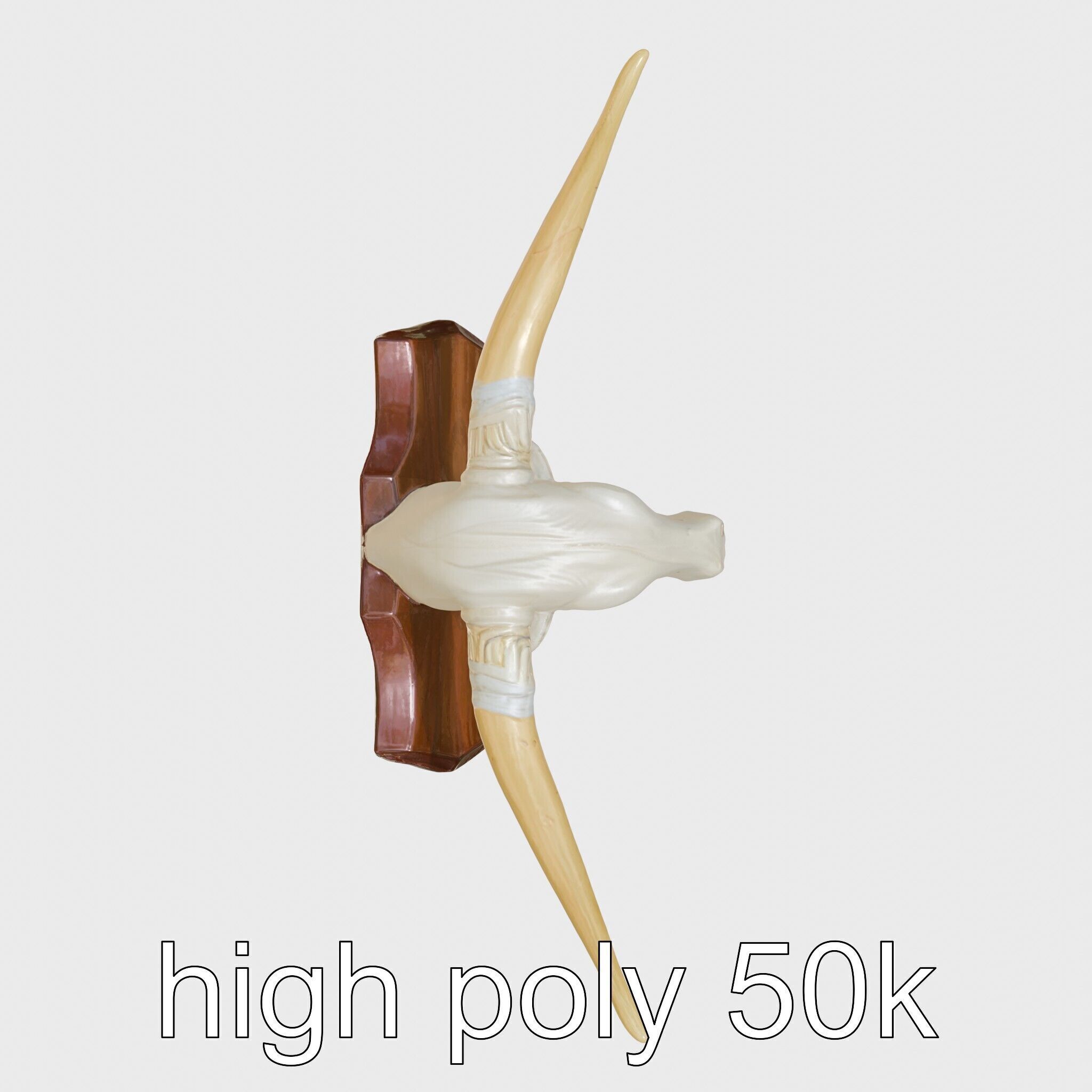 Longhorn Bull Trophy Western Heritage Model Low-poly 3D model_24