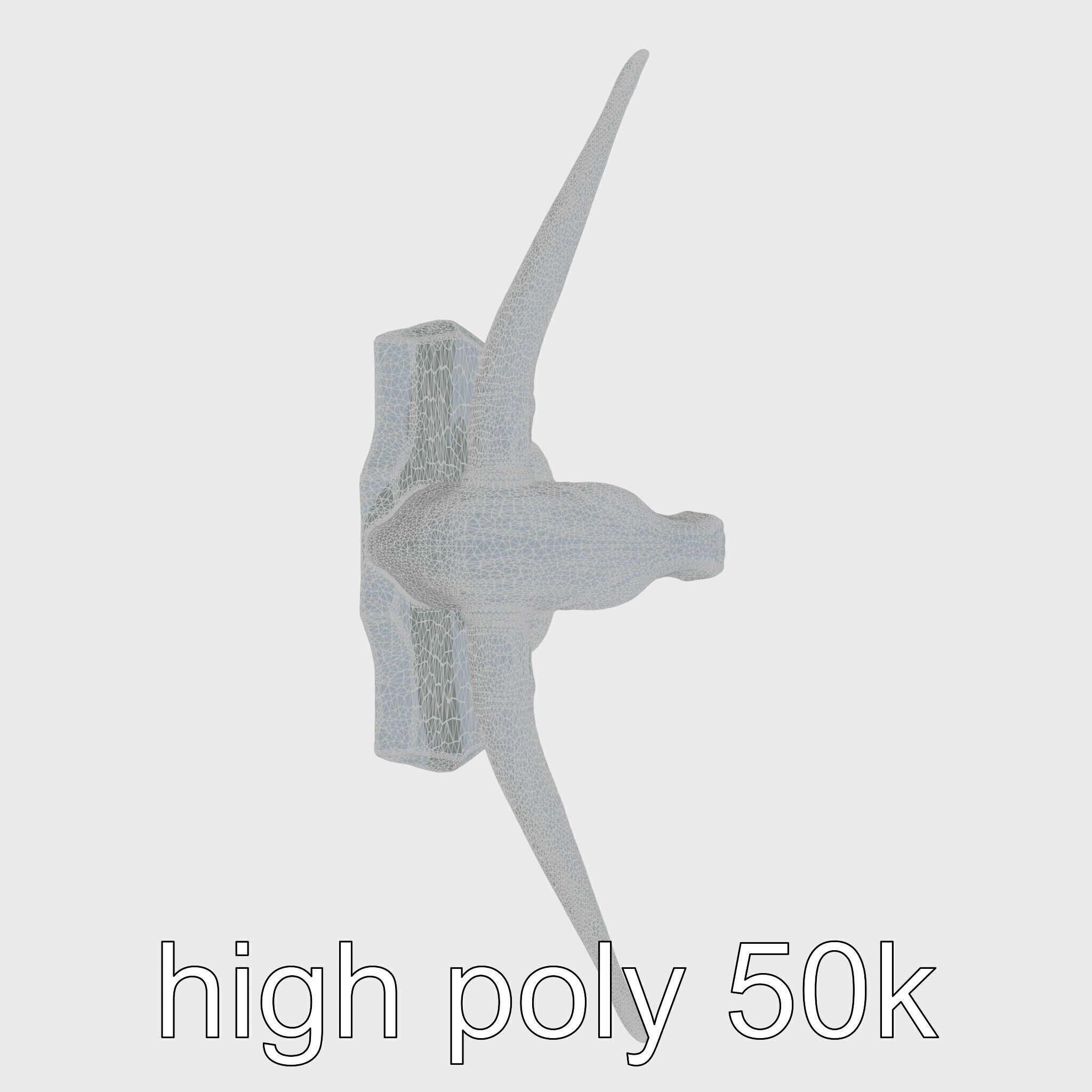 Longhorn Bull Trophy Western Heritage Model Low-poly 3D model_27