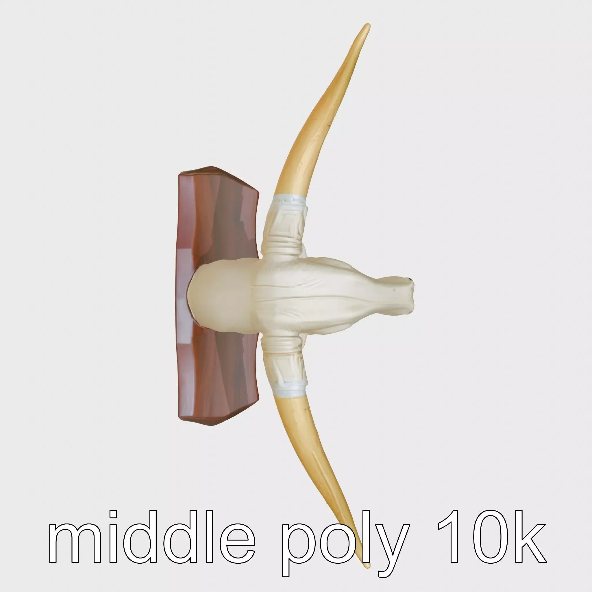 Longhorn Bull Trophy Western Heritage Model Low-poly 3D model_0