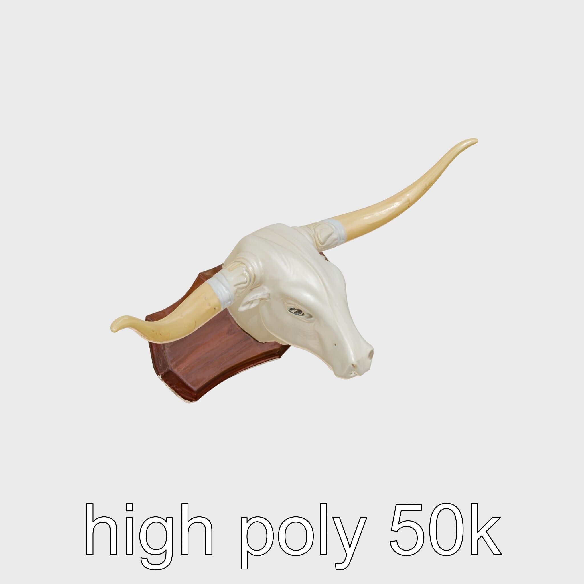 Longhorn Bull Trophy Western Heritage Model Low-poly 3D model_11
