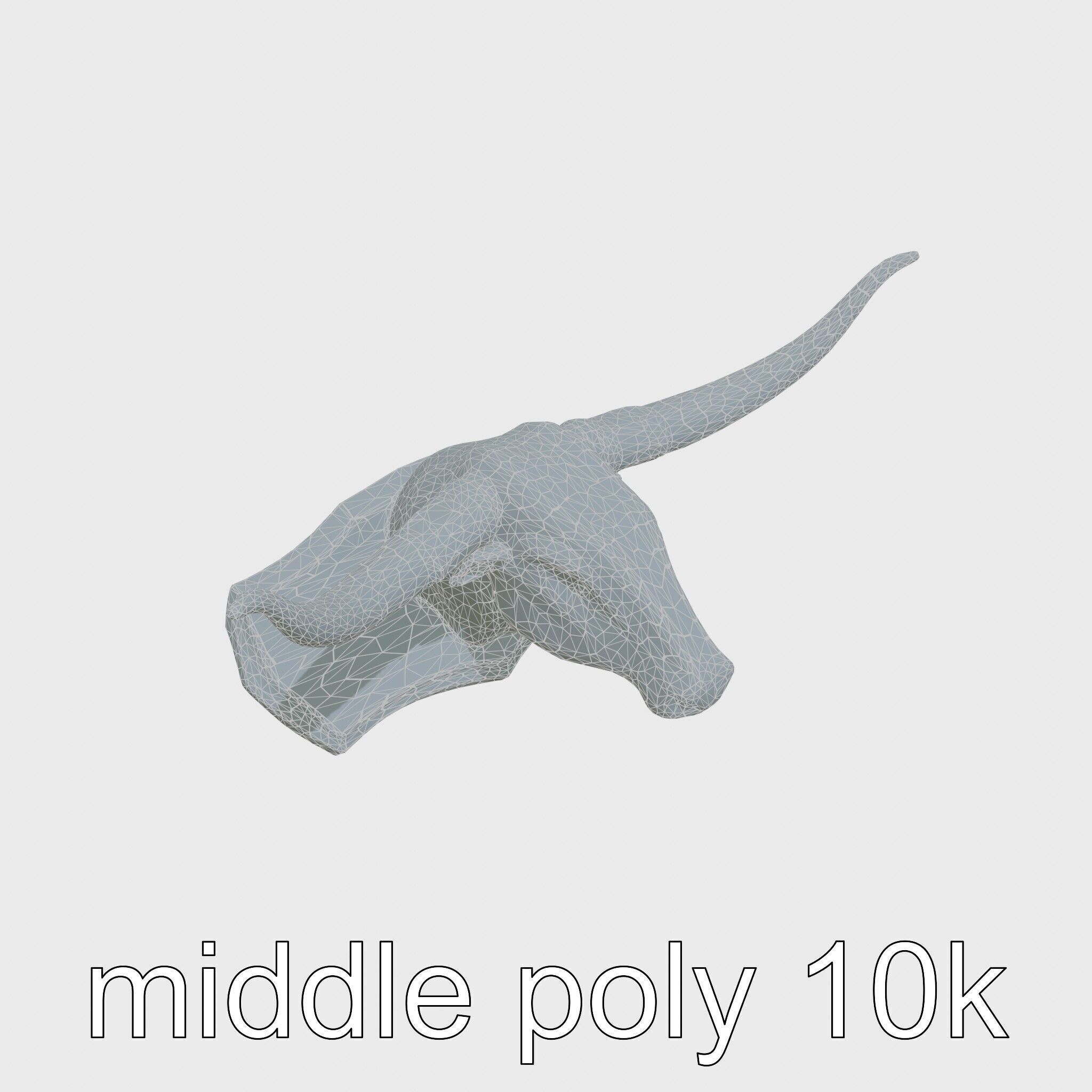 Longhorn Bull Trophy Western Heritage Model Low-poly 3D model_18