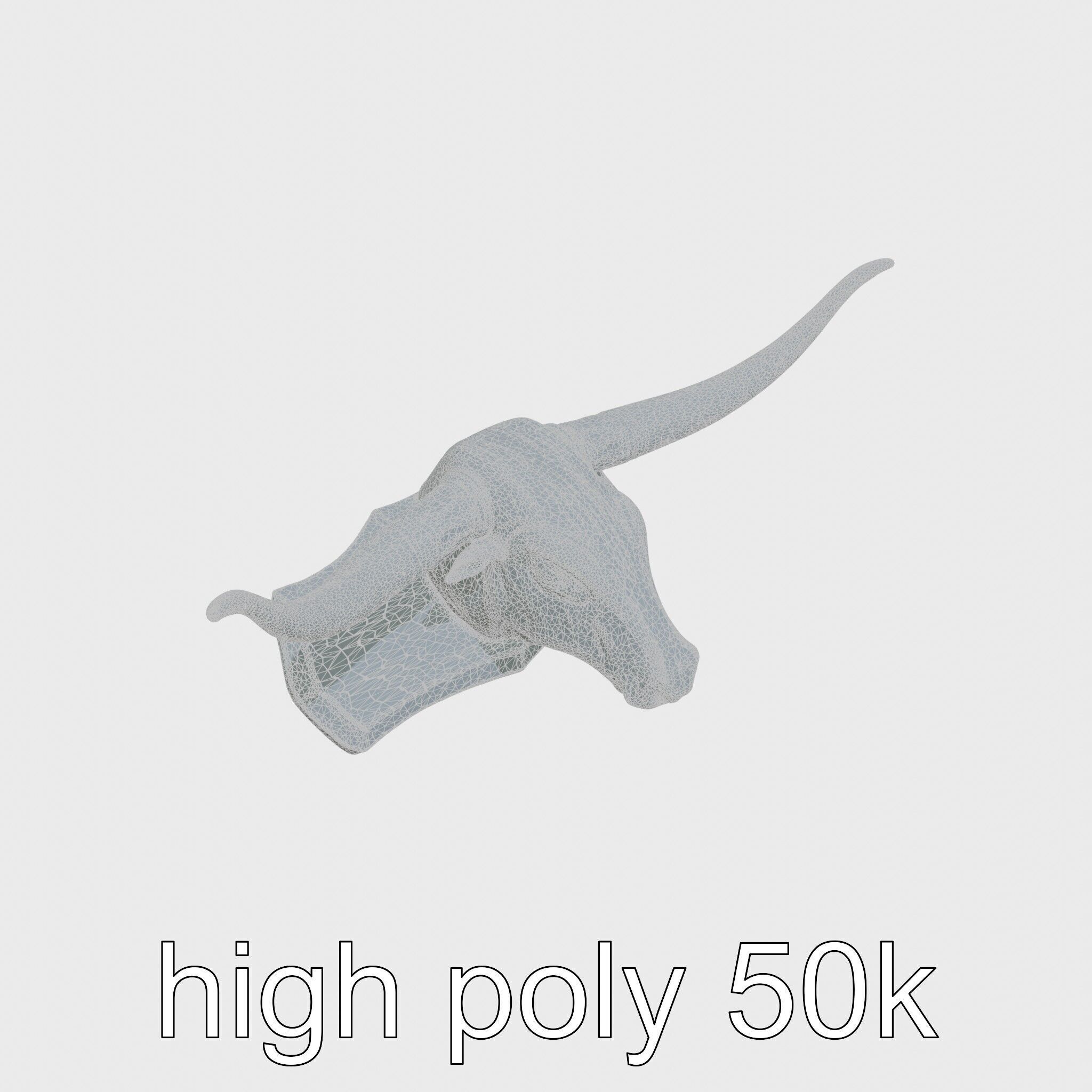 Longhorn Bull Trophy Western Heritage Model Low-poly 3D model_21