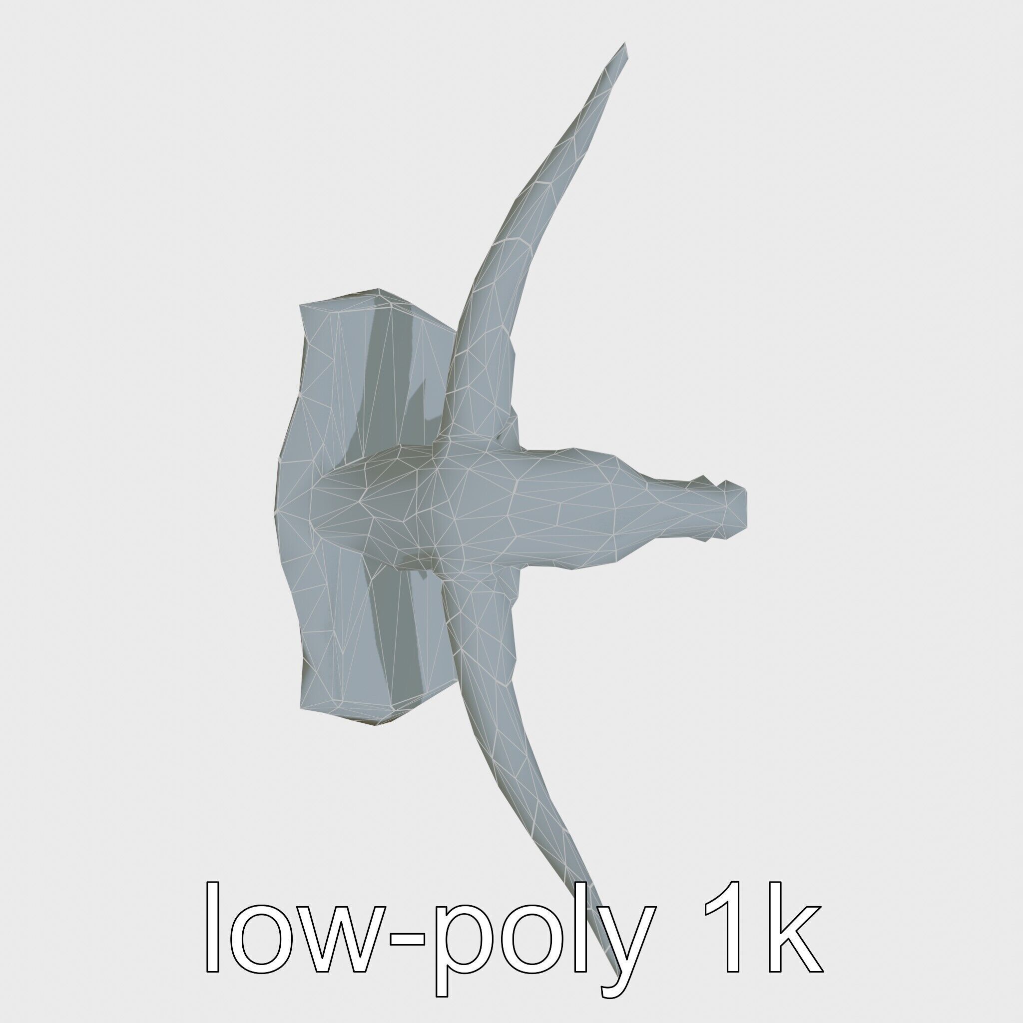 Longhorn Bull Trophy Western Heritage Model Low-poly 3D model_26