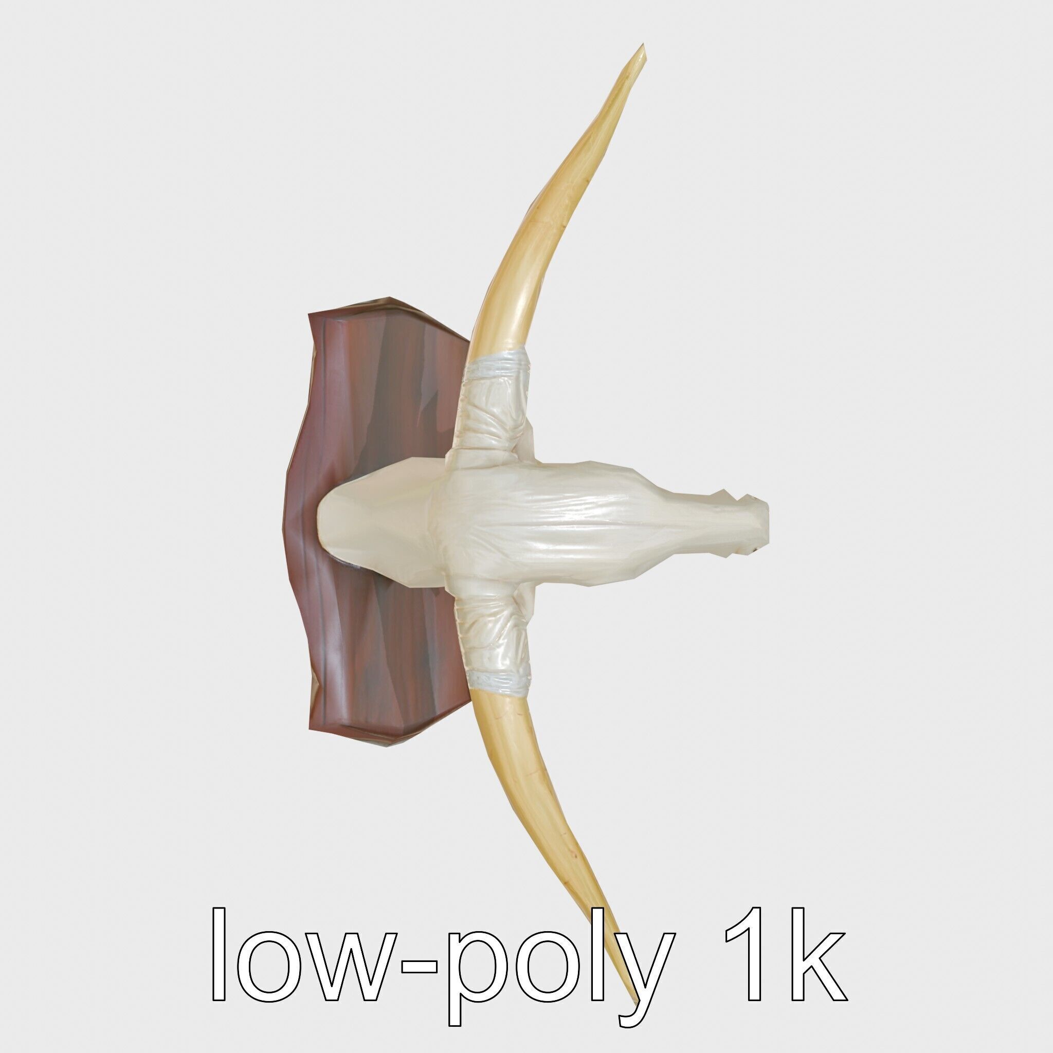 Longhorn Bull Trophy Western Heritage Model Low-poly 3D model_23